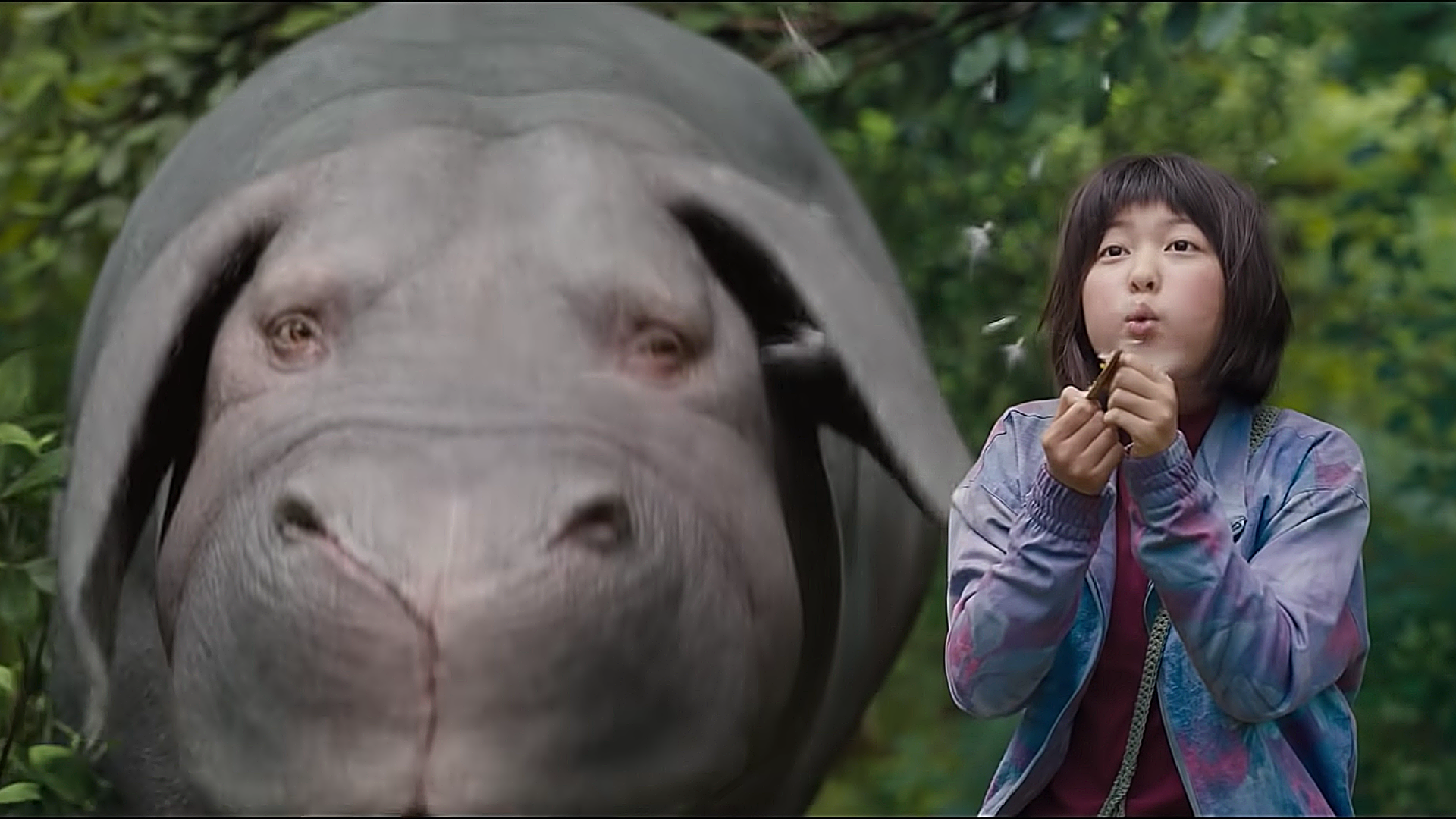 9. Okja (2017)