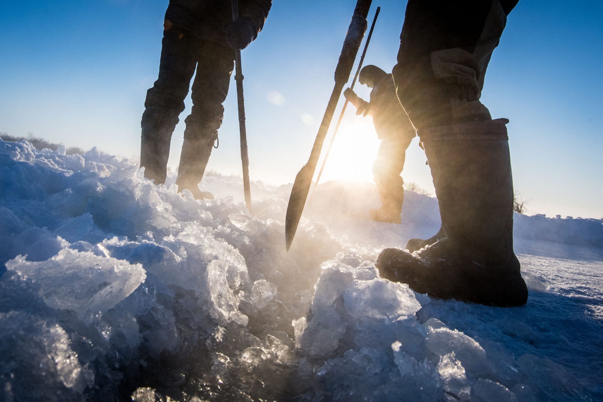 An ancient zombie virus from Siberian permafrost has been resurrected