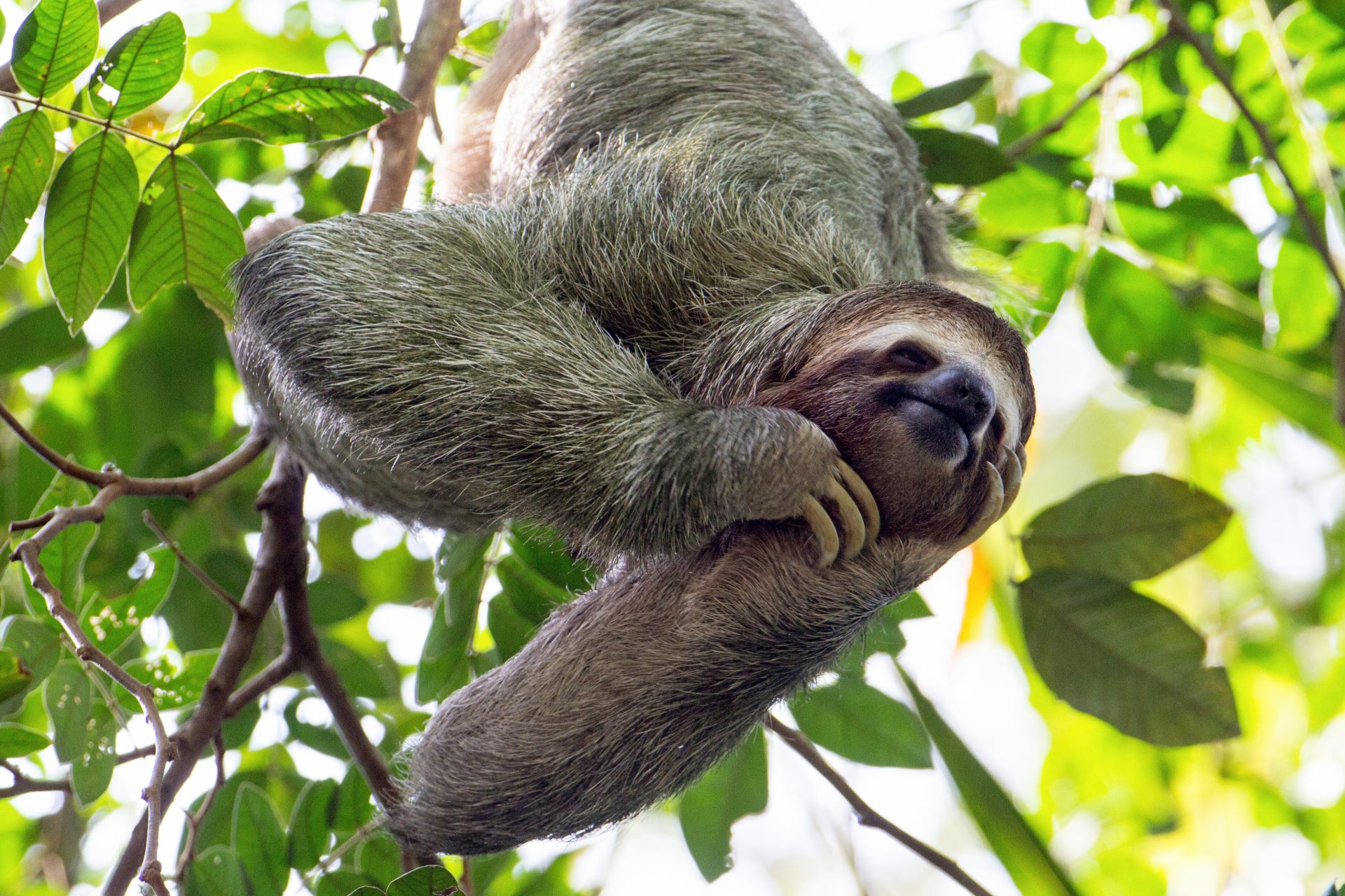 Ces photos d'animaux trop rigolos vont vous faire craquer