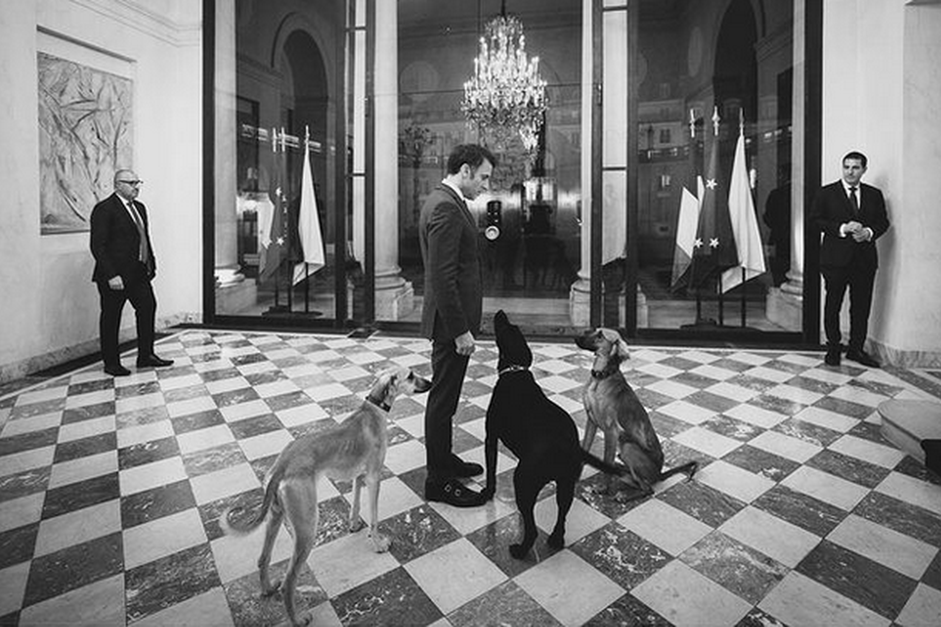 Deux nouveaux chiens à l'Élysée : découvrez les animaux les plus célèbres des chefs d’État du monde