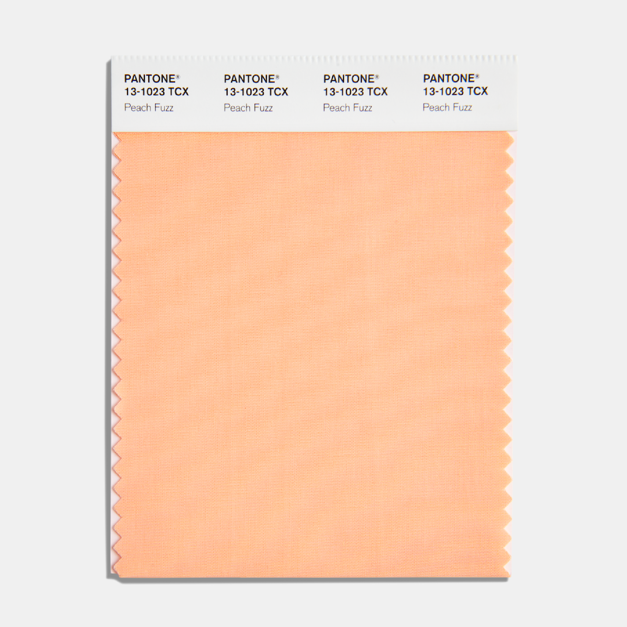 Un año más marcado por la empresa Pantone Inc.