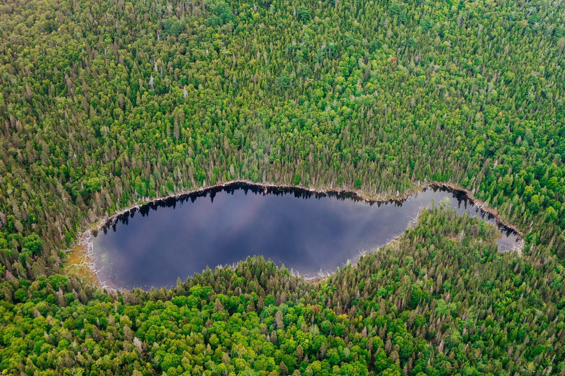 Guess how many lakes there are on Earth