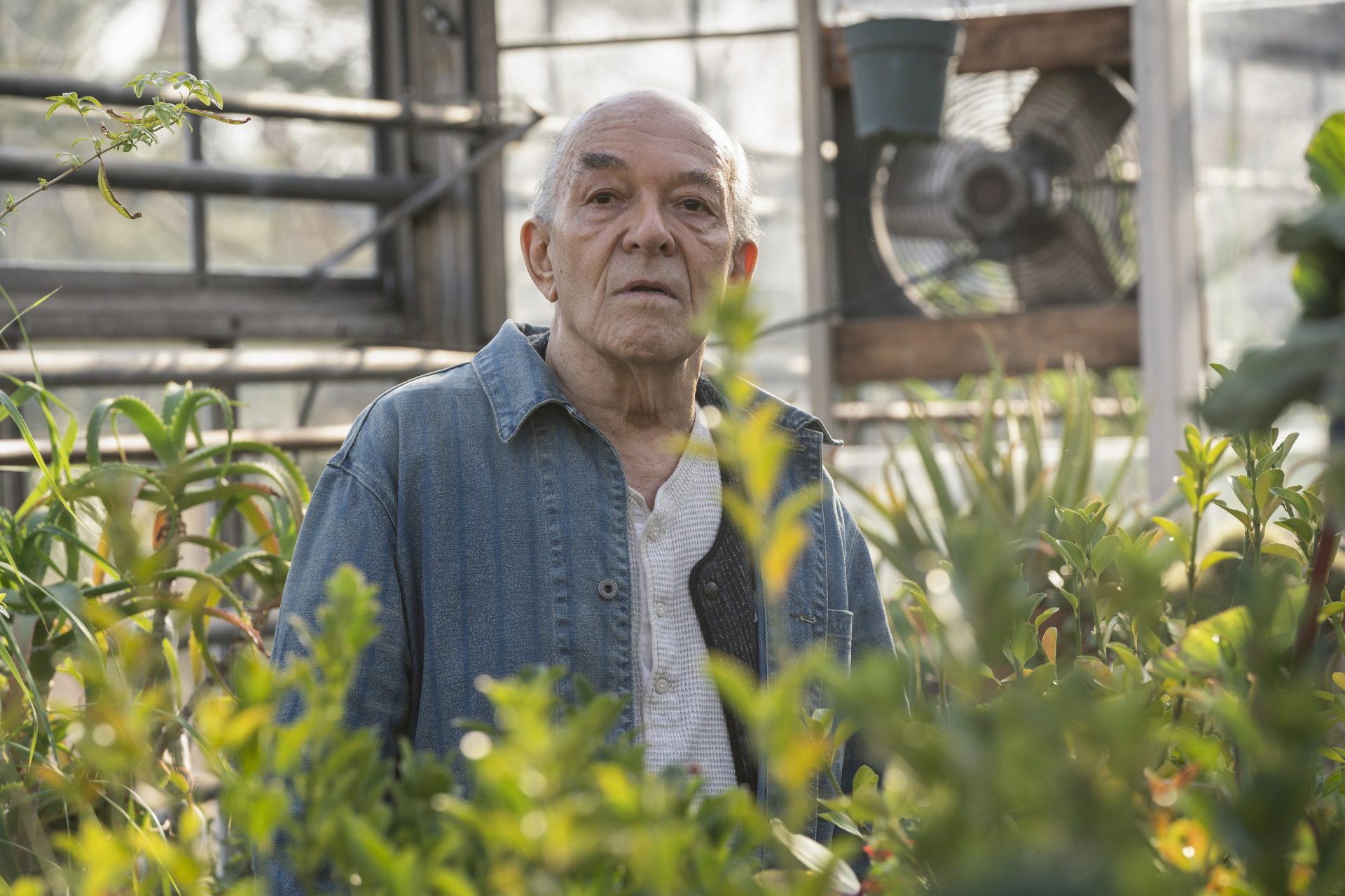 Mark Margolis - 3 de agosto