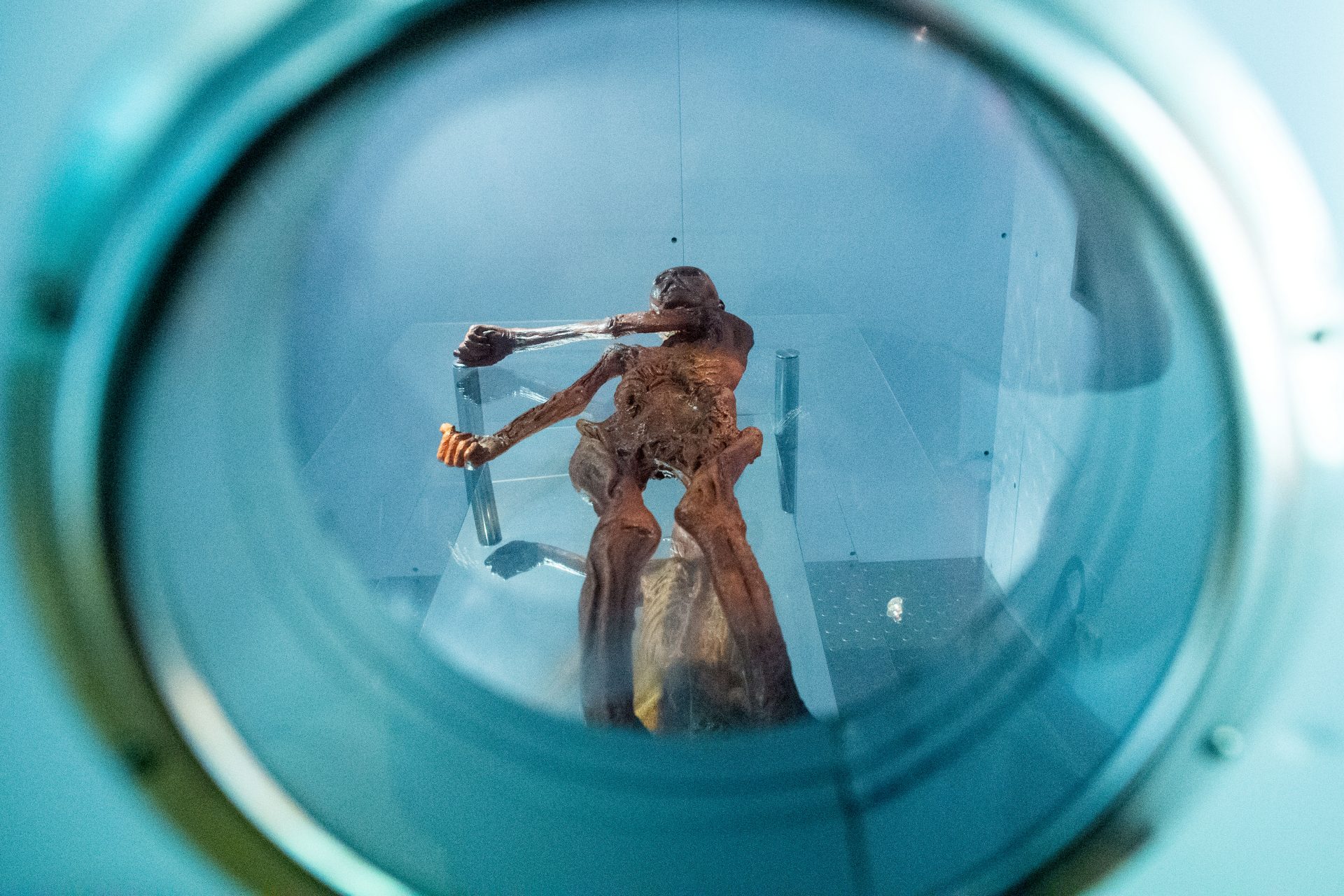 Ötzi era diverso da come ce lo siamo immaginato