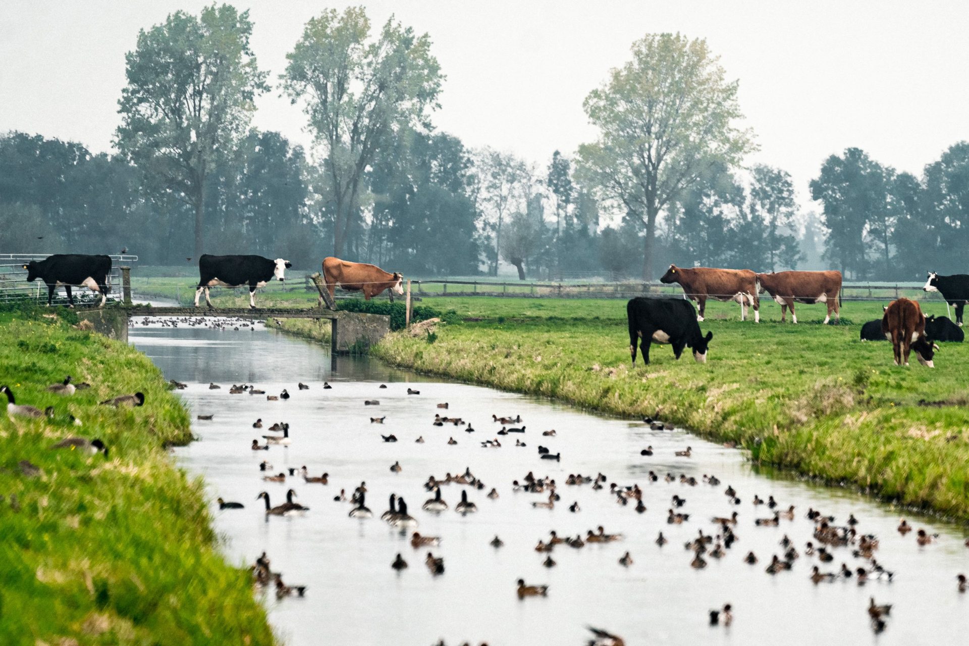 UNESCO Werelderfgoed