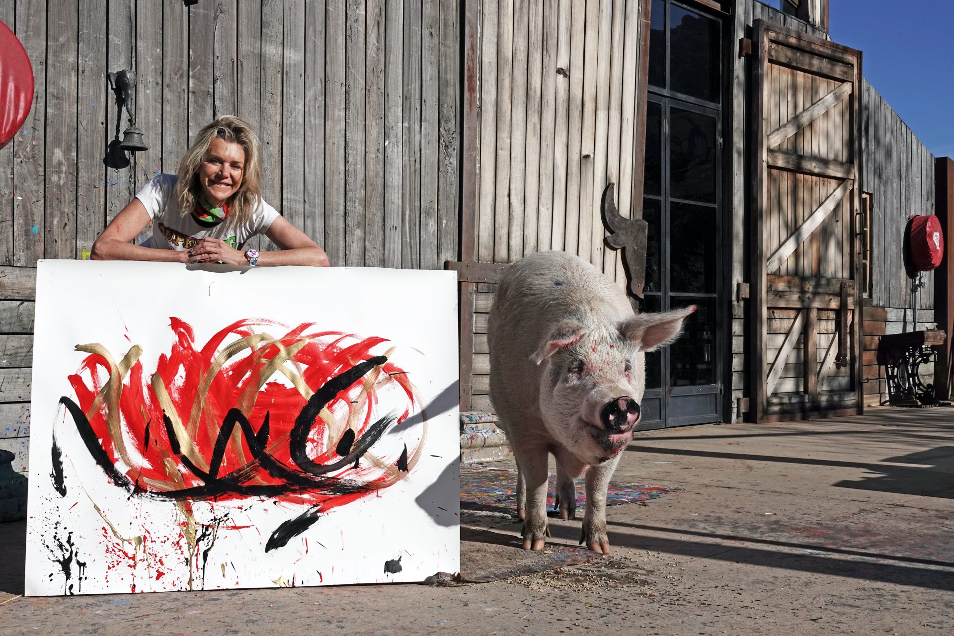 Pigcasso: ein Schwein, das malt und Bilder für Tausende von Euro verkauft