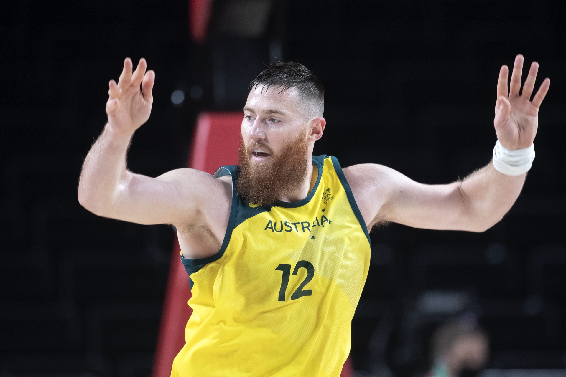 Aron Baynes