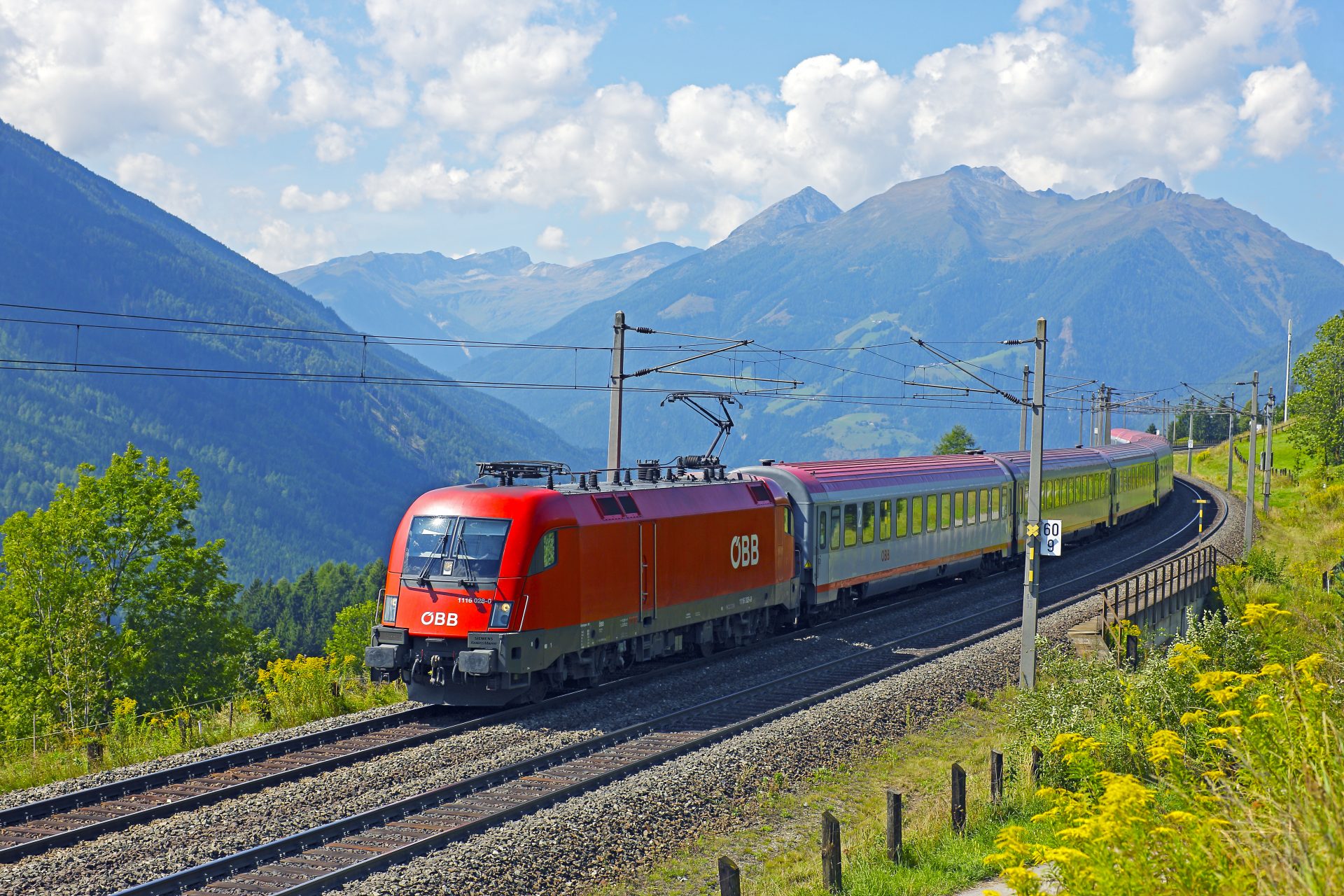 Österreich: Tätowierungen auf Festivals für kostenloses Jahresticket mit öffentlichen Verkehrsmitteln