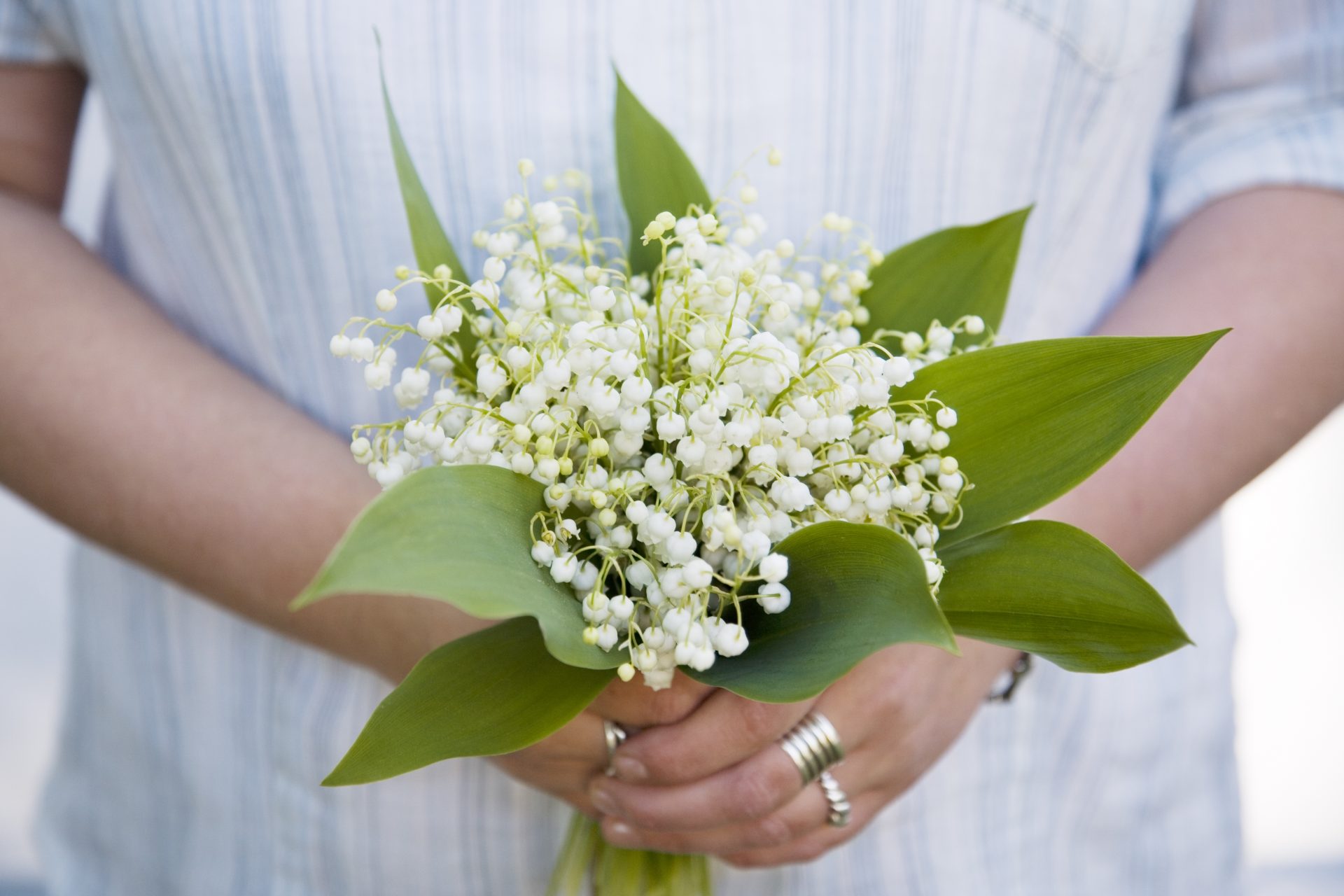 Finland: lily of the valley
