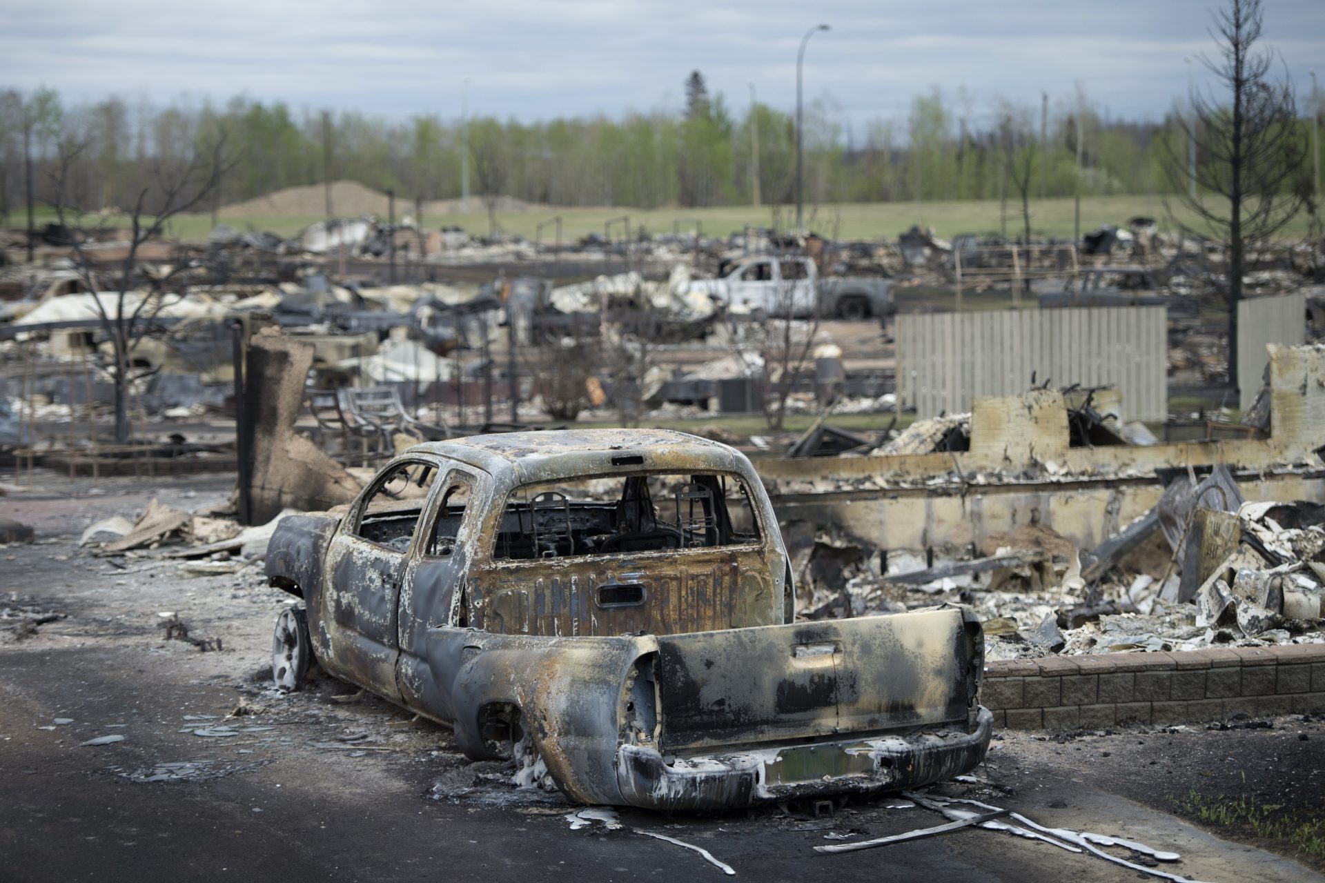 Millions of hectares destroyed 