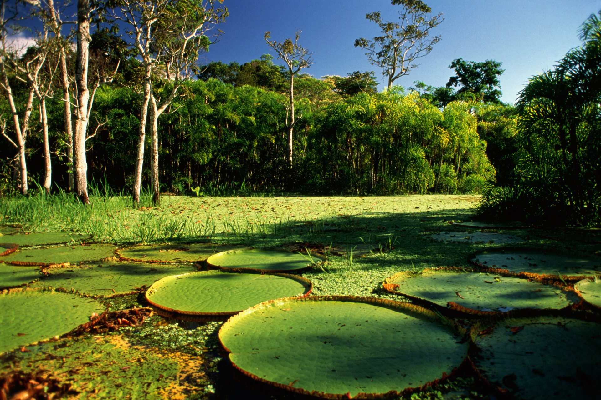 South America's most beautiful UNESCO World Heritage natural sites