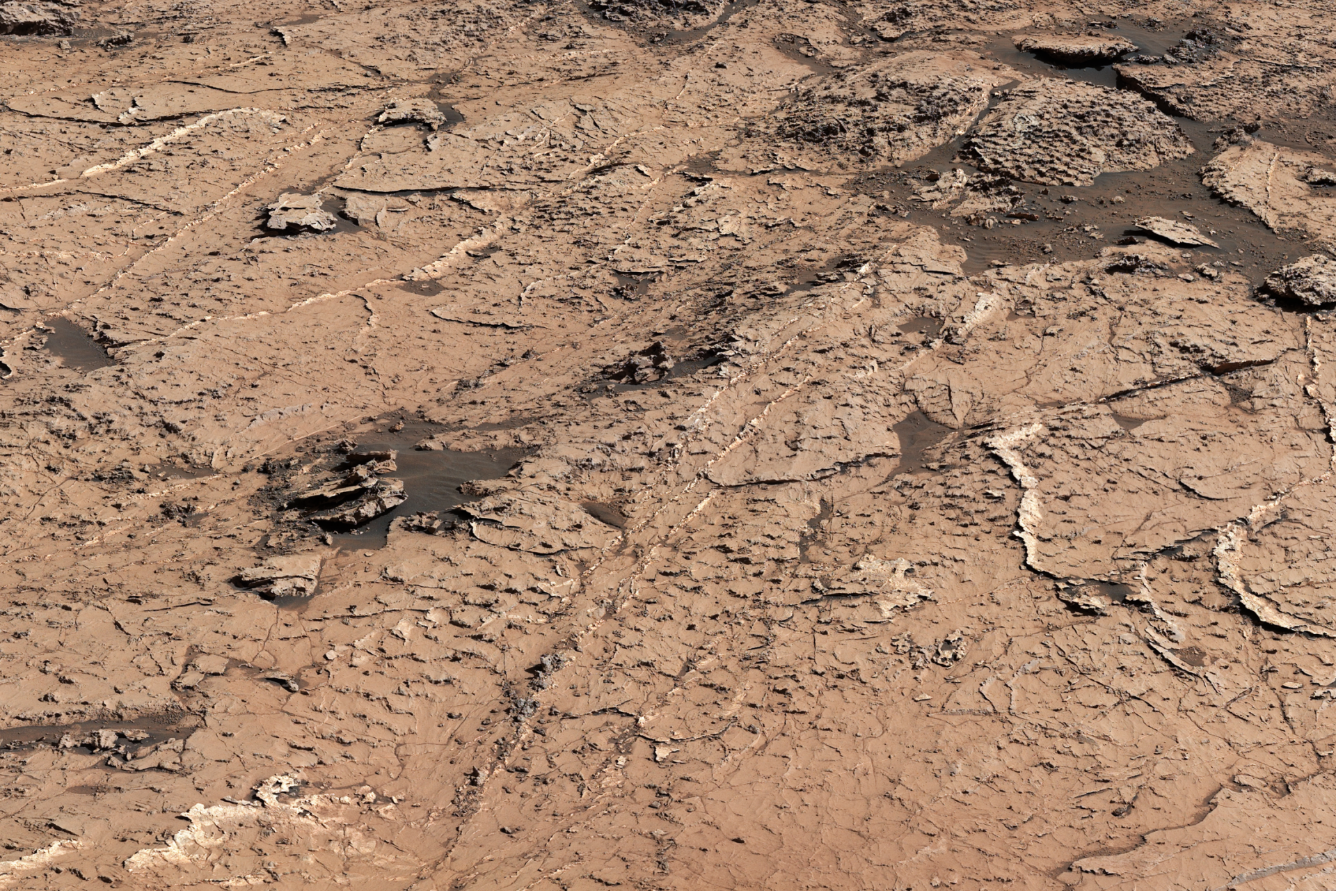 Did Mars once harbor life?