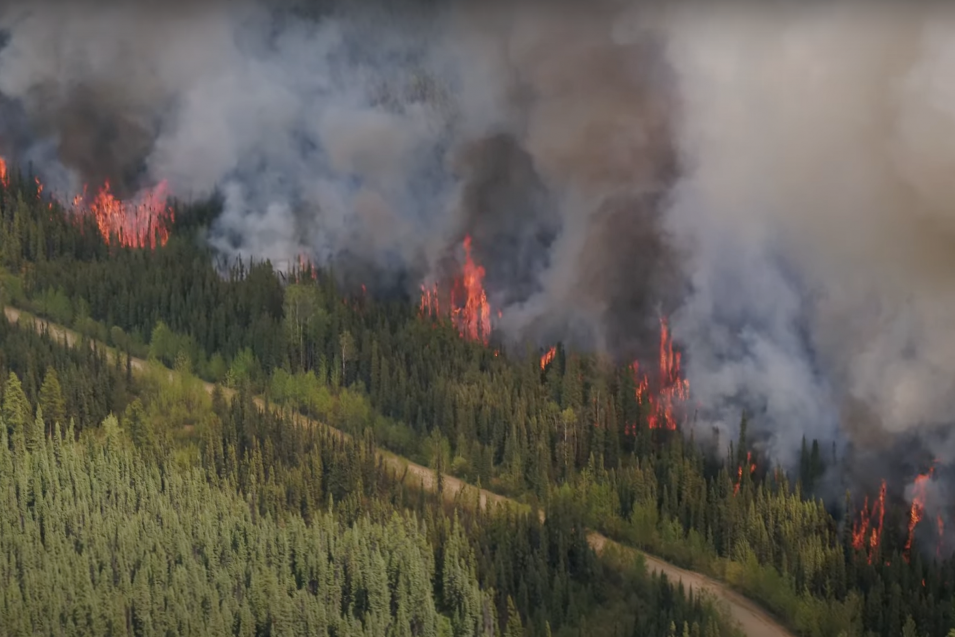 A fire suppression technique 