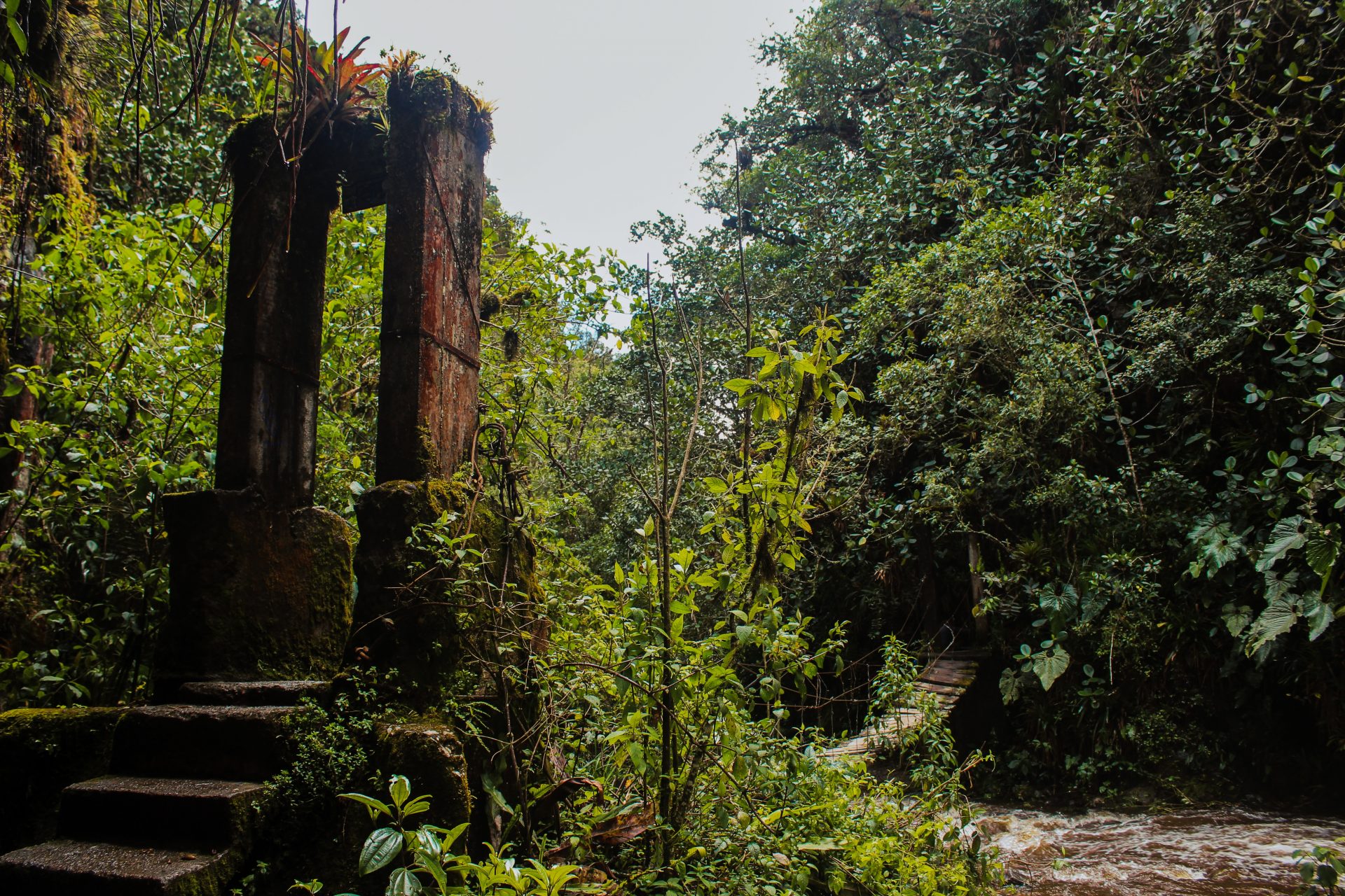 De Nukak in Colombia