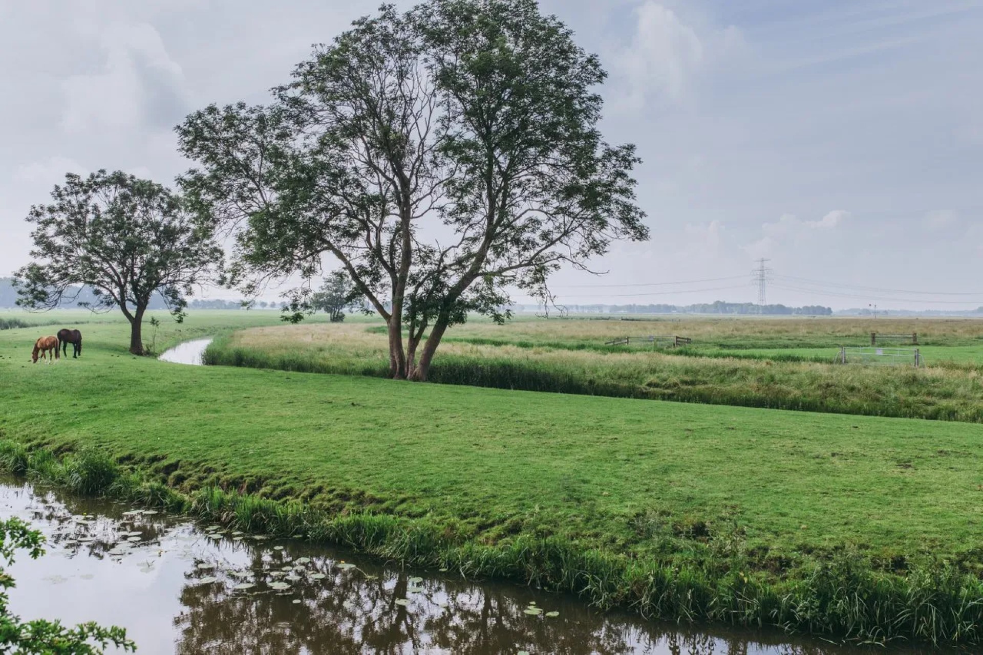 Een unieke mix van geschiedenis en natuur