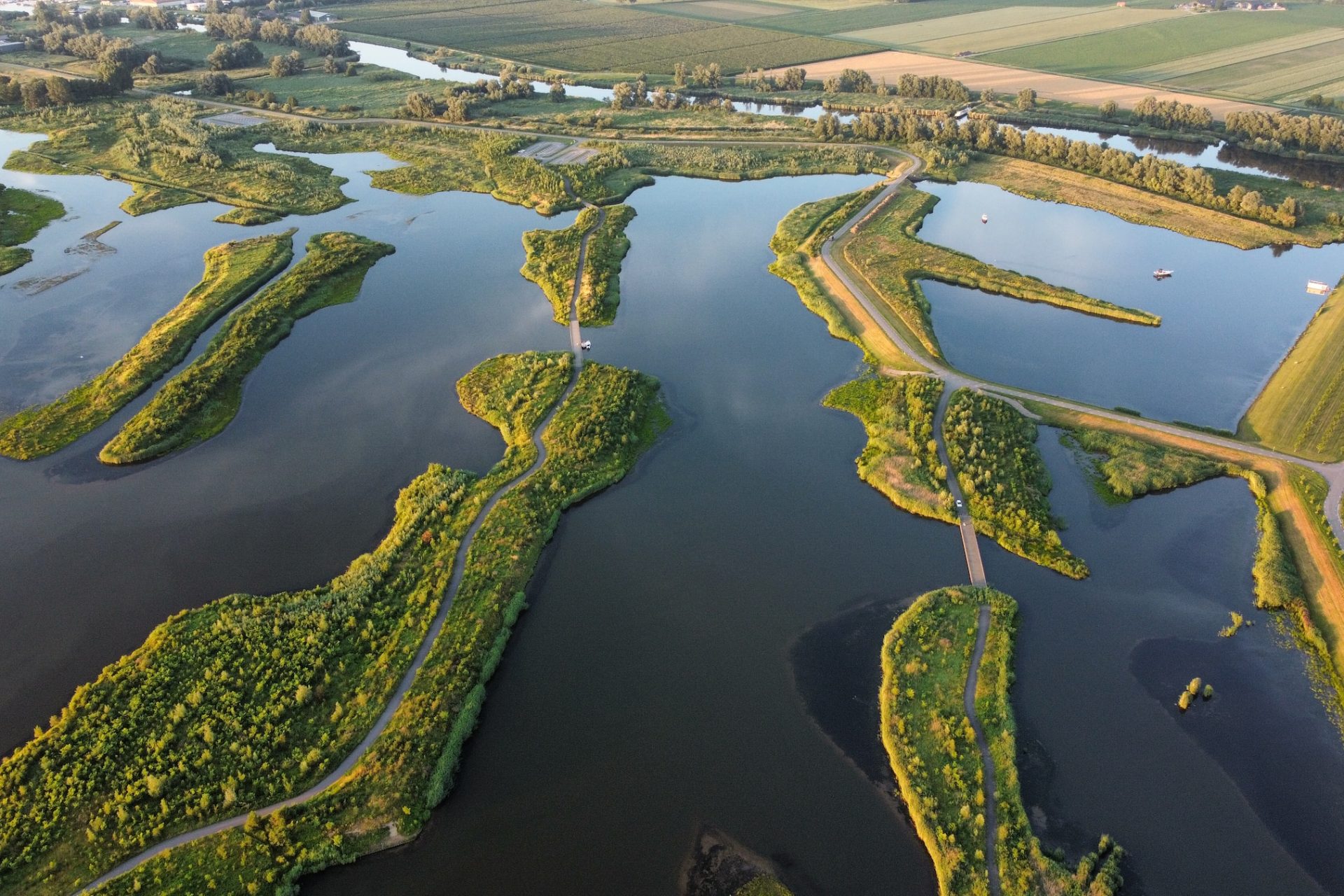 5. Nationaal Park De Biesbosch