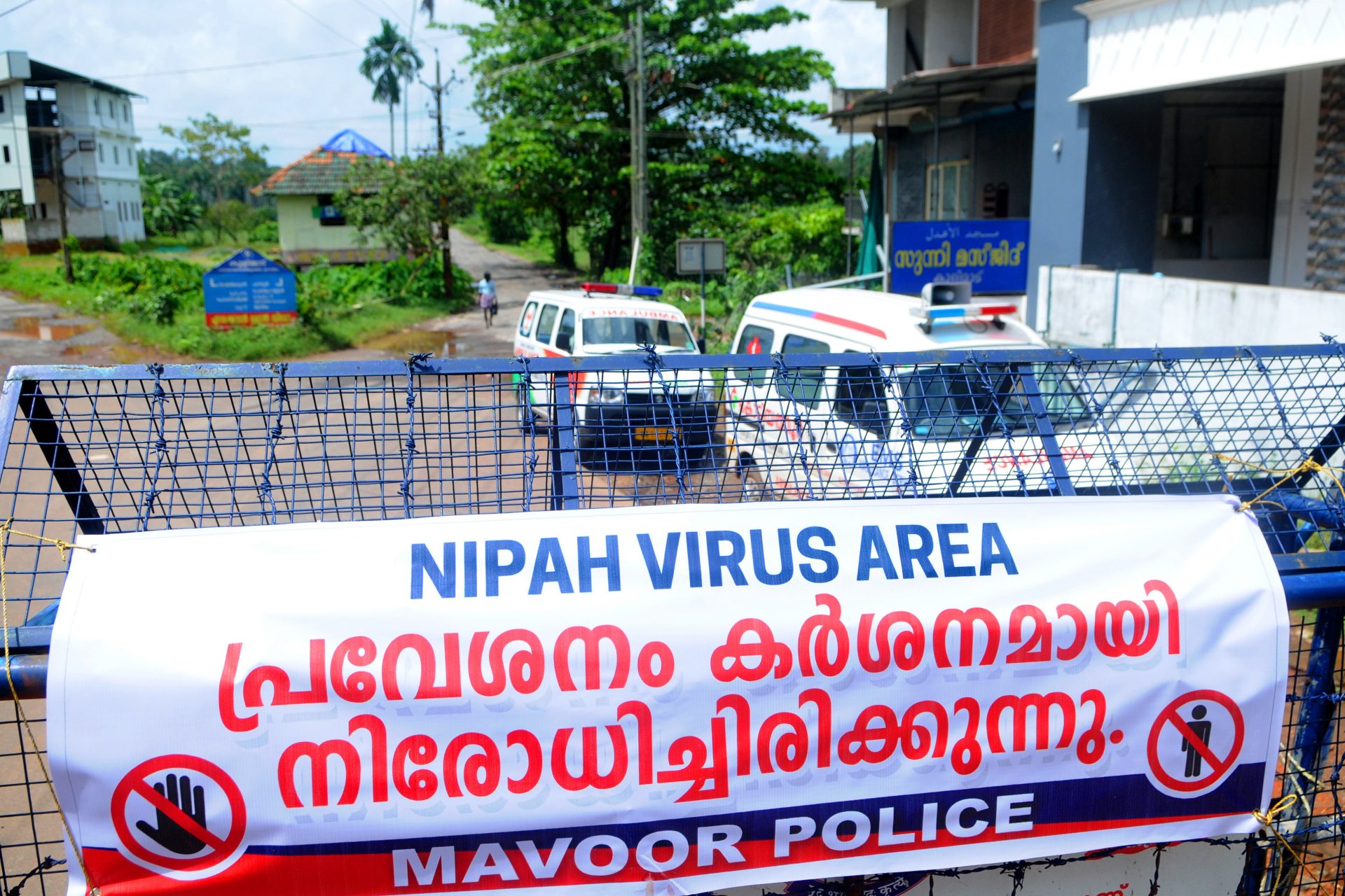 Le virus Nipah (NiV)