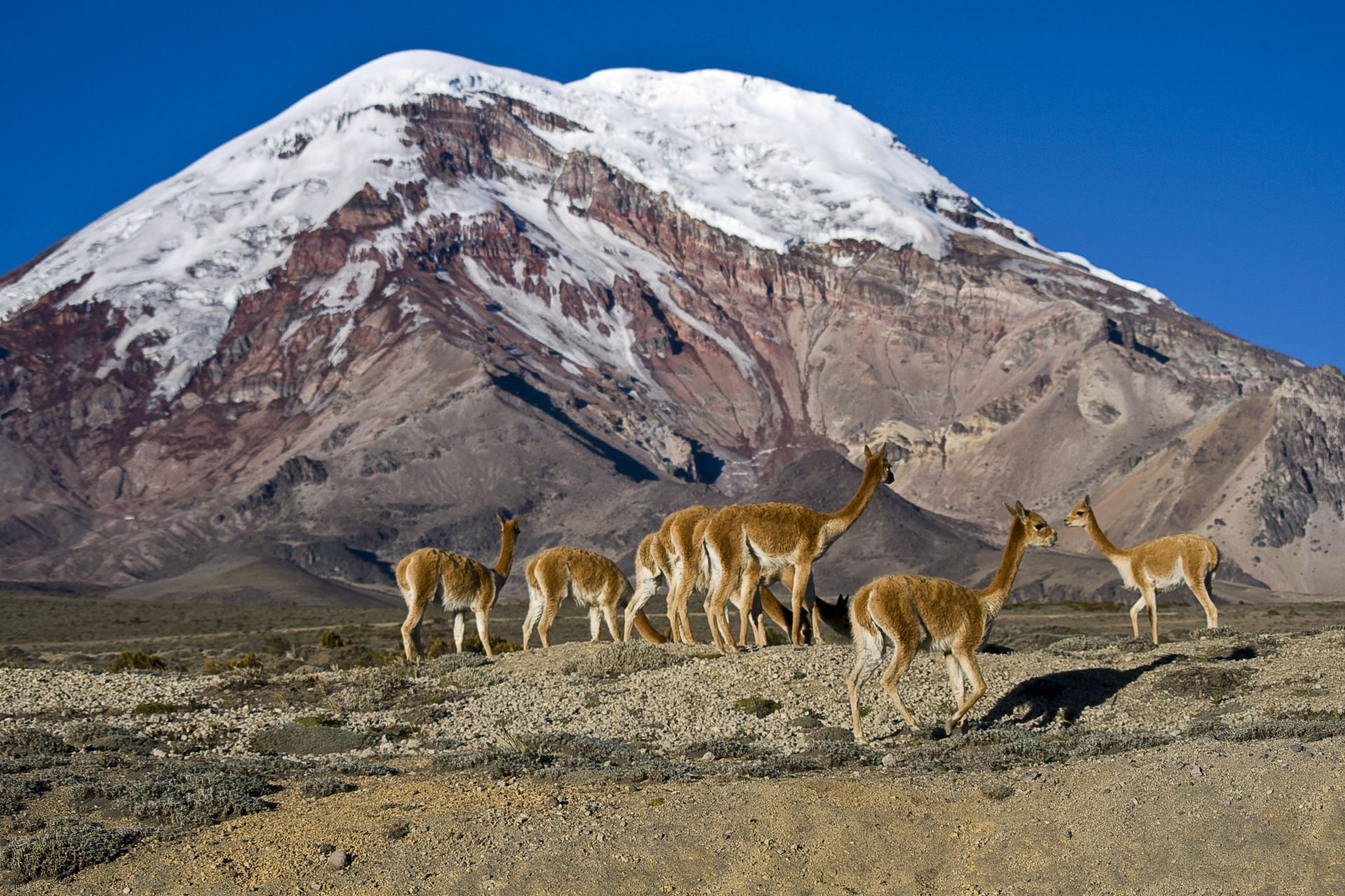 Mount Chimborazo in Ecuador 