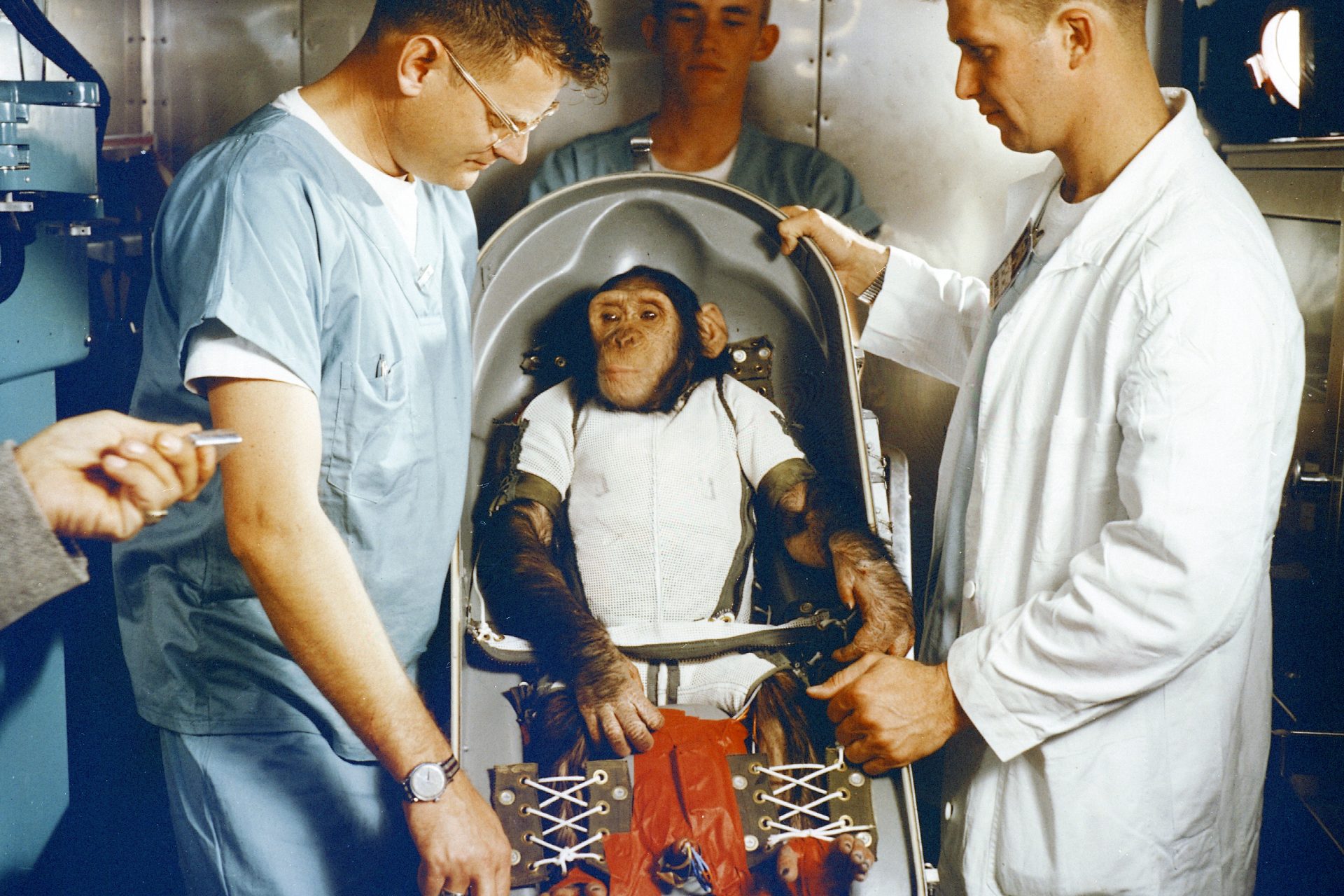 Monkeys, unsung space heroes