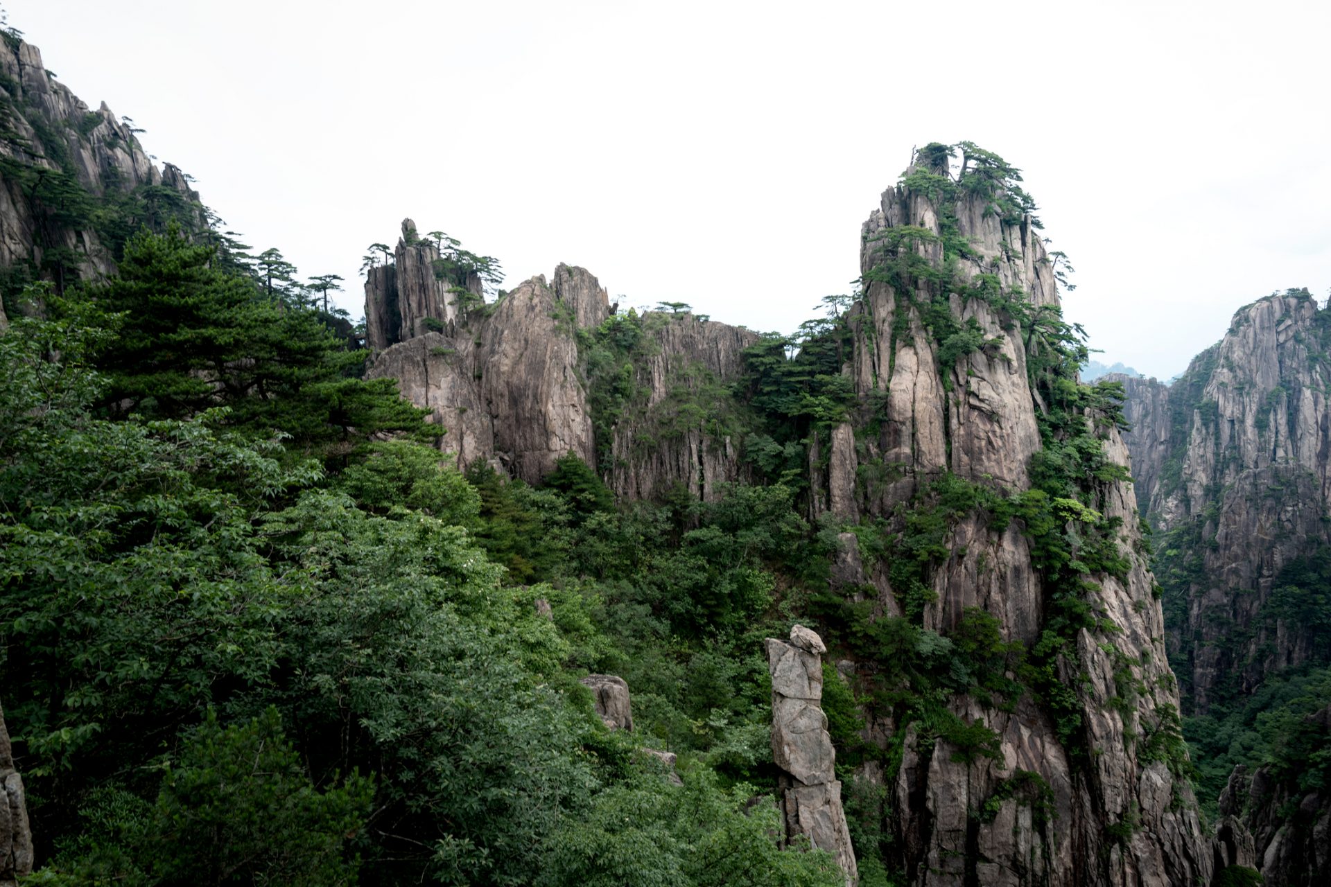 El árbol familiar de Hualongdong