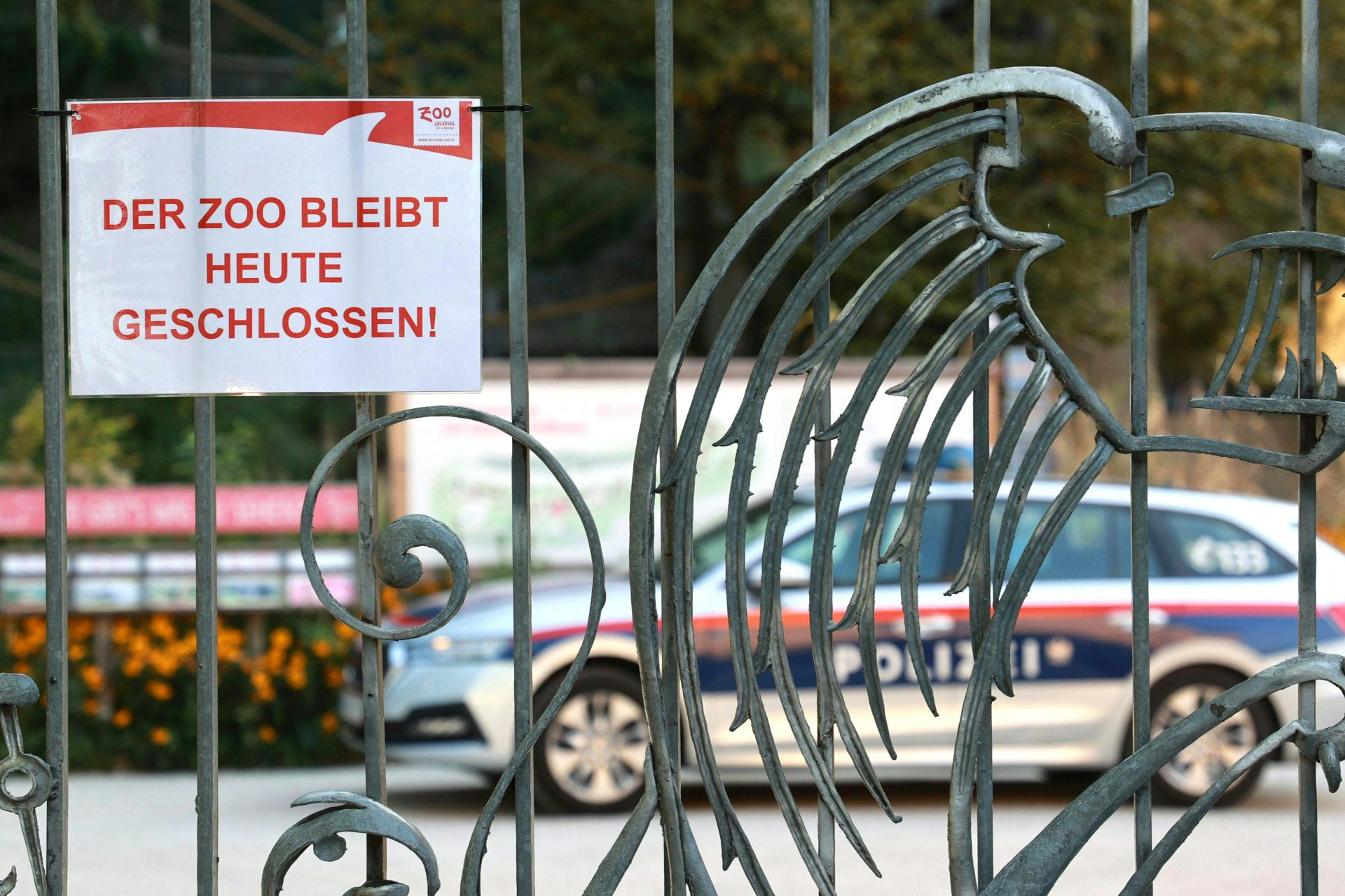 Drama in Salzburger Zoo: Nashorn tötet deutsche Tierpflegerin (33)!