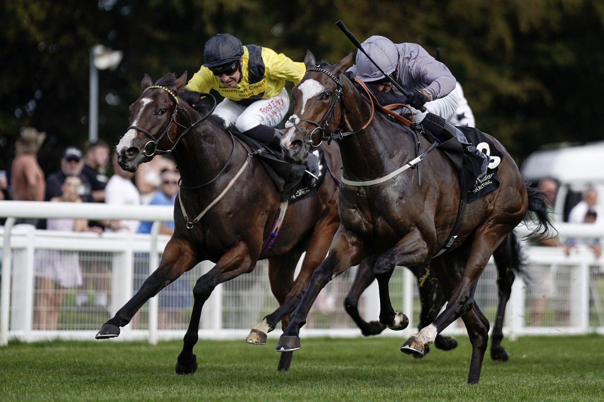 In the saddle! Everything you need to know about horse racing