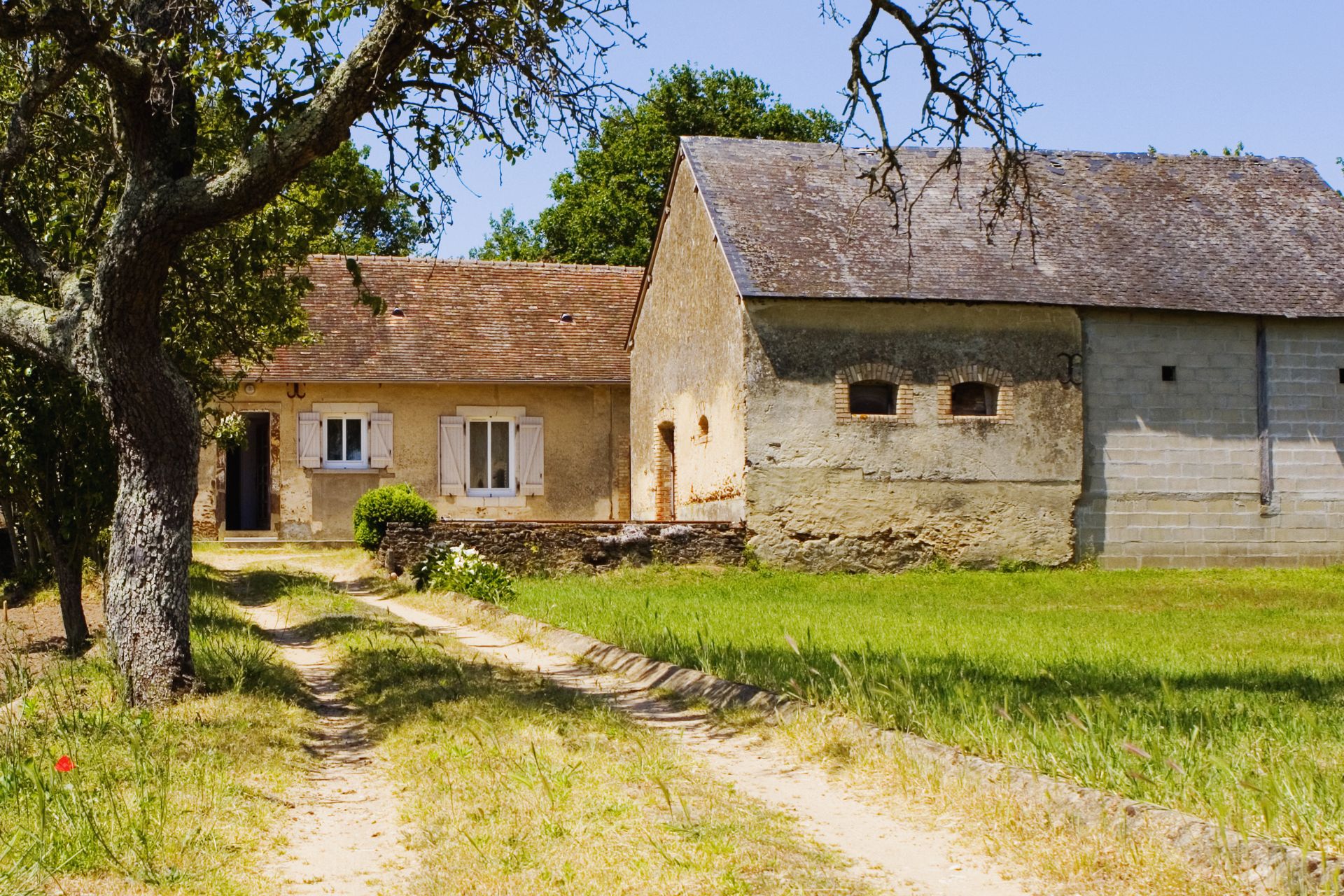 Les difficultés des fermes familiales