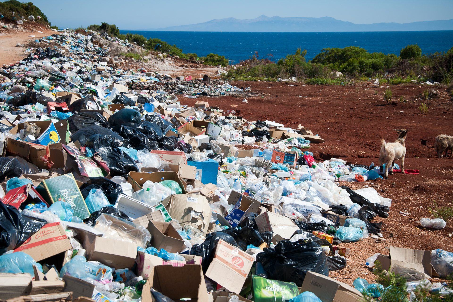 Nederland: een van de grootste exporteurs van plastic afval