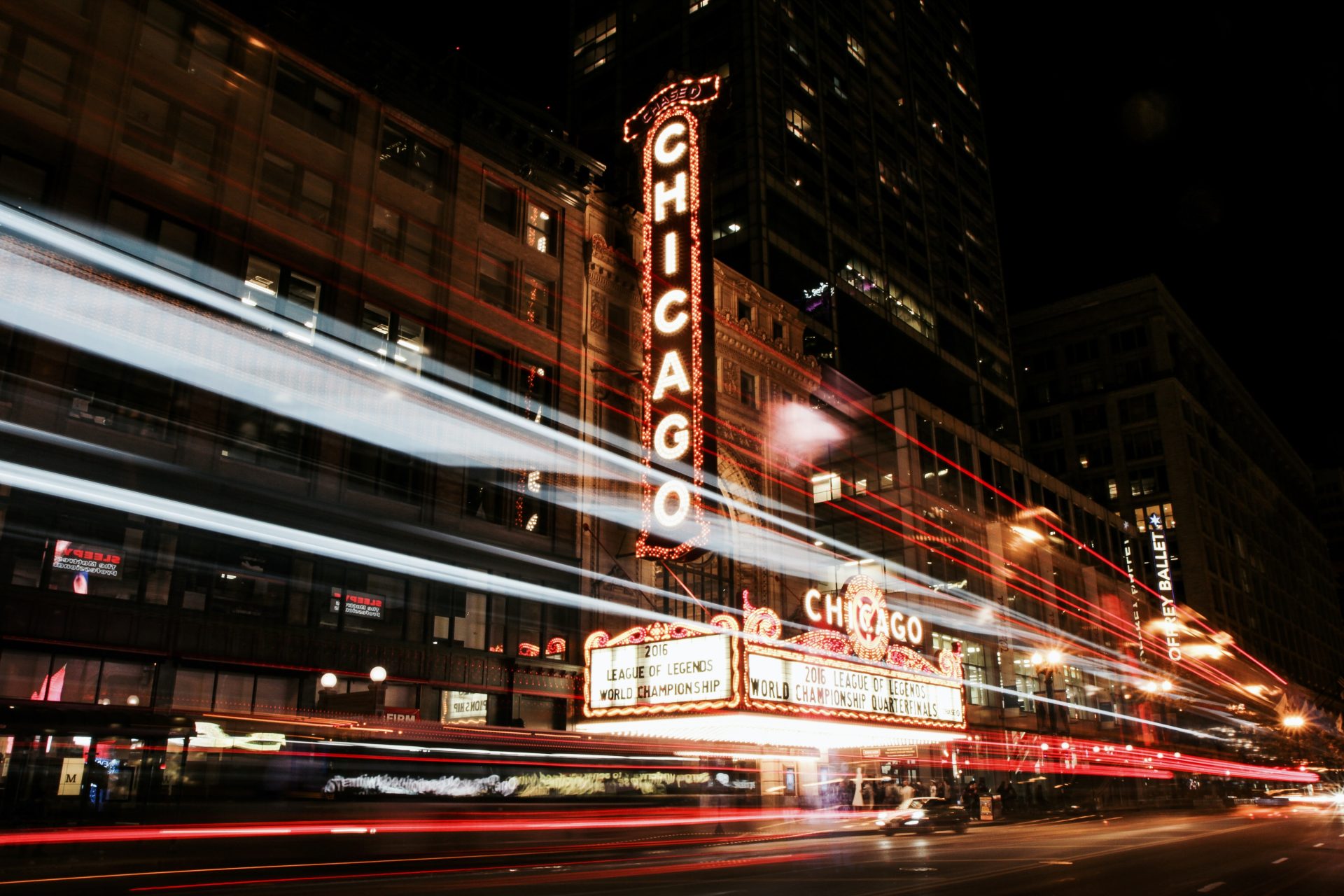 Chicago es la verdadera capital de las ratas