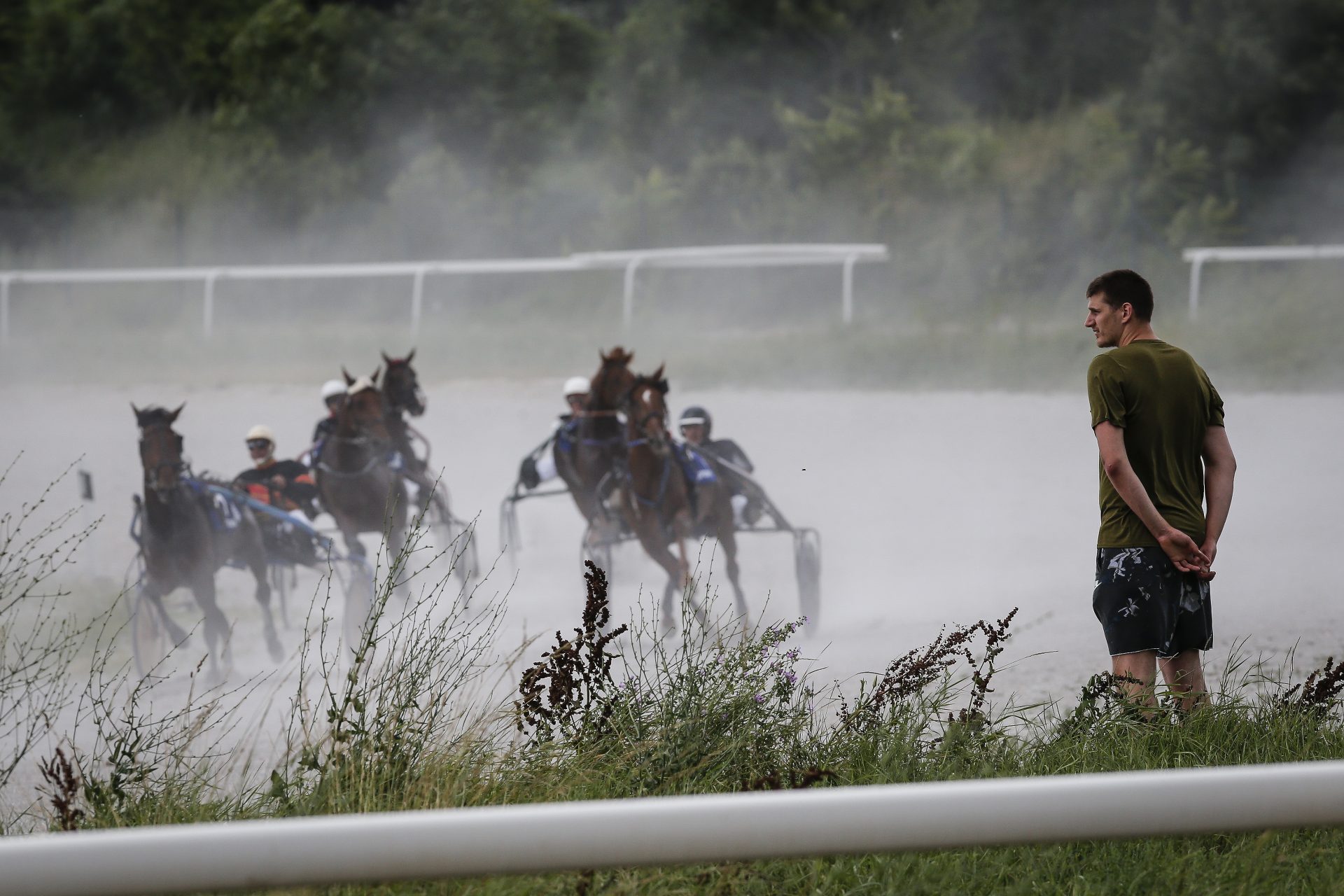 Flying straight to the horses