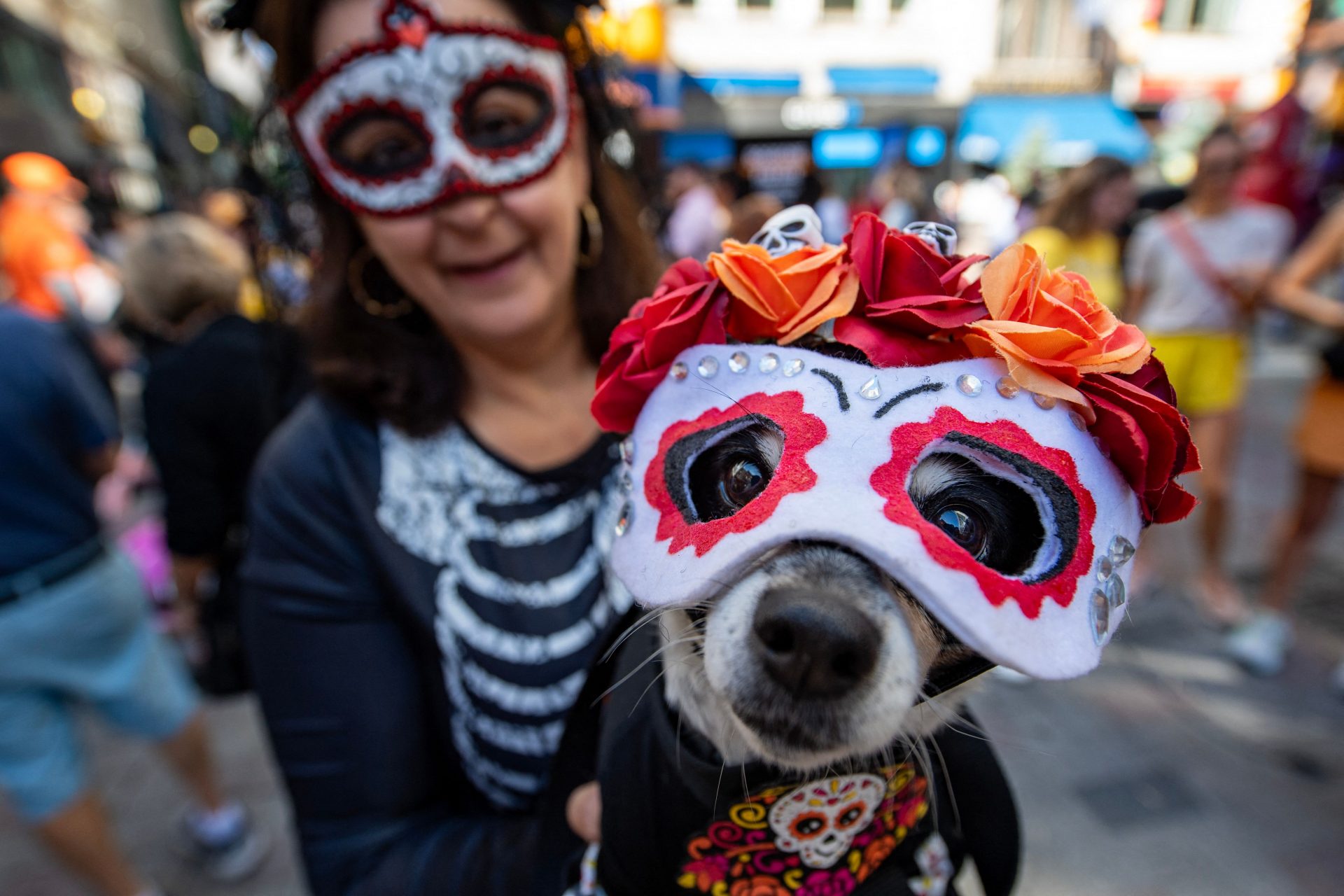 Mexican dead in Boston