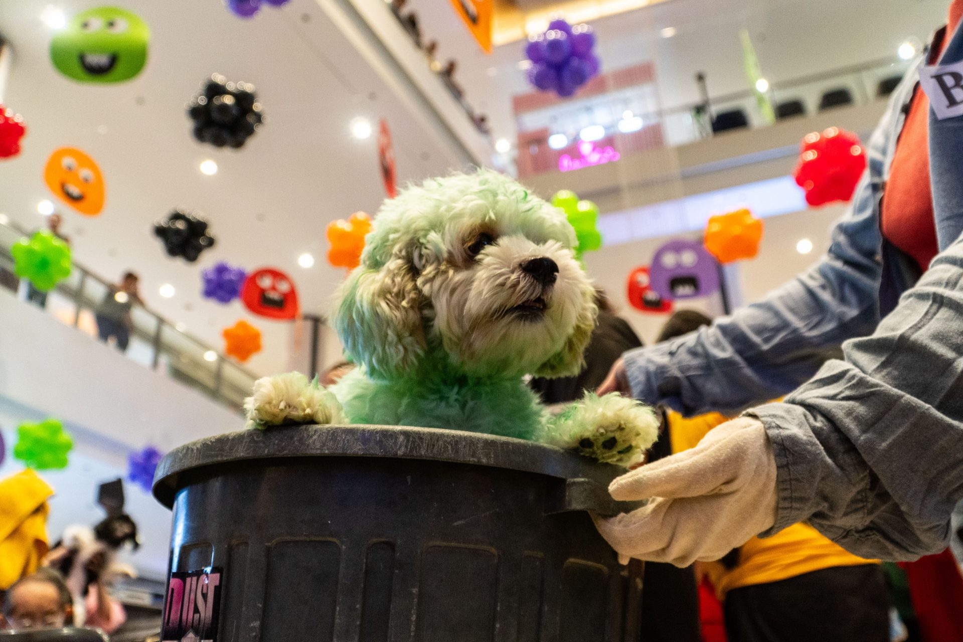 Oscar the Grouch in Manila