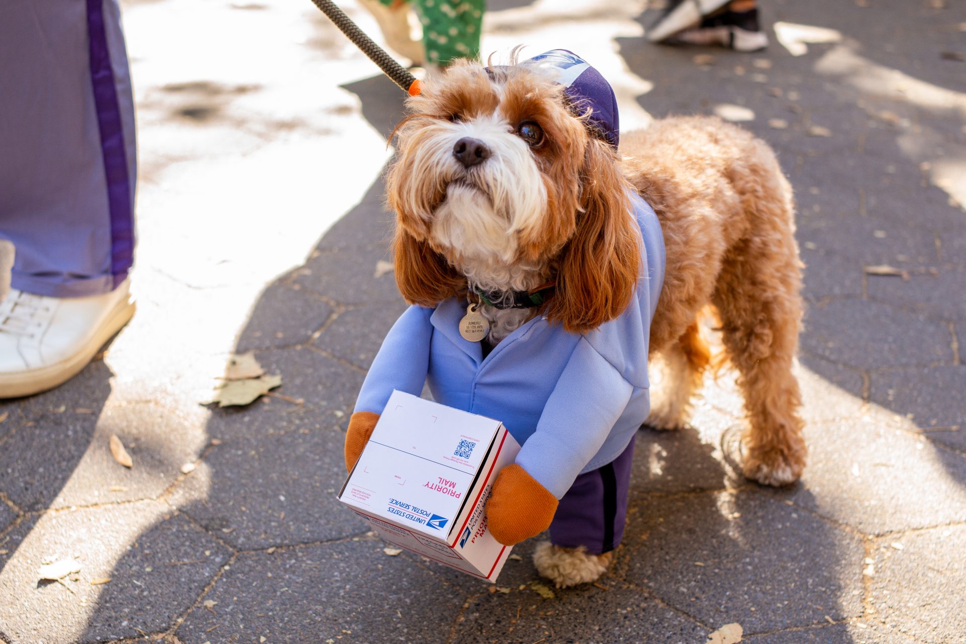 US postal worker in New York 