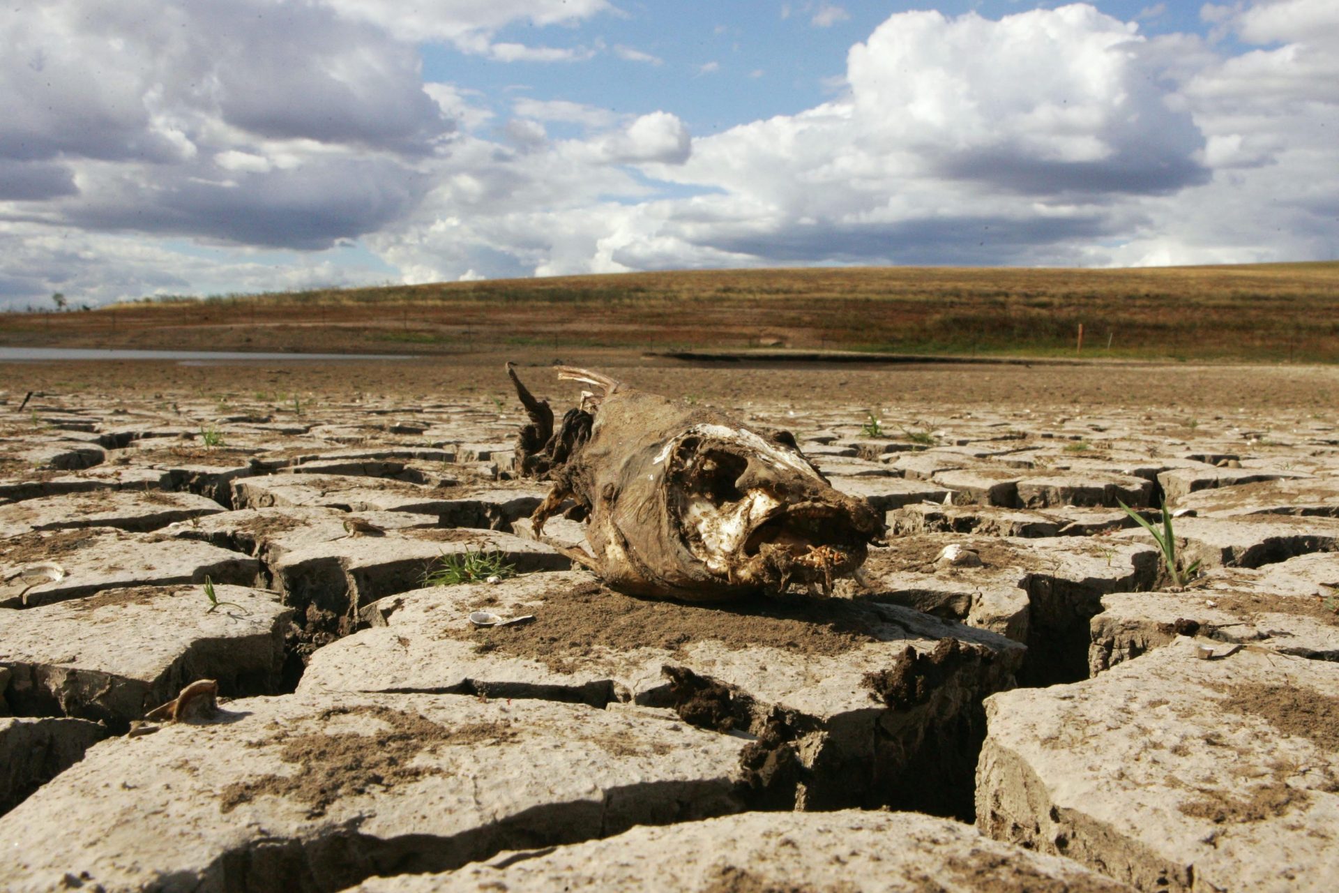 Los países más cercanos al Pacífico tendrán un invierno más seco y cálido