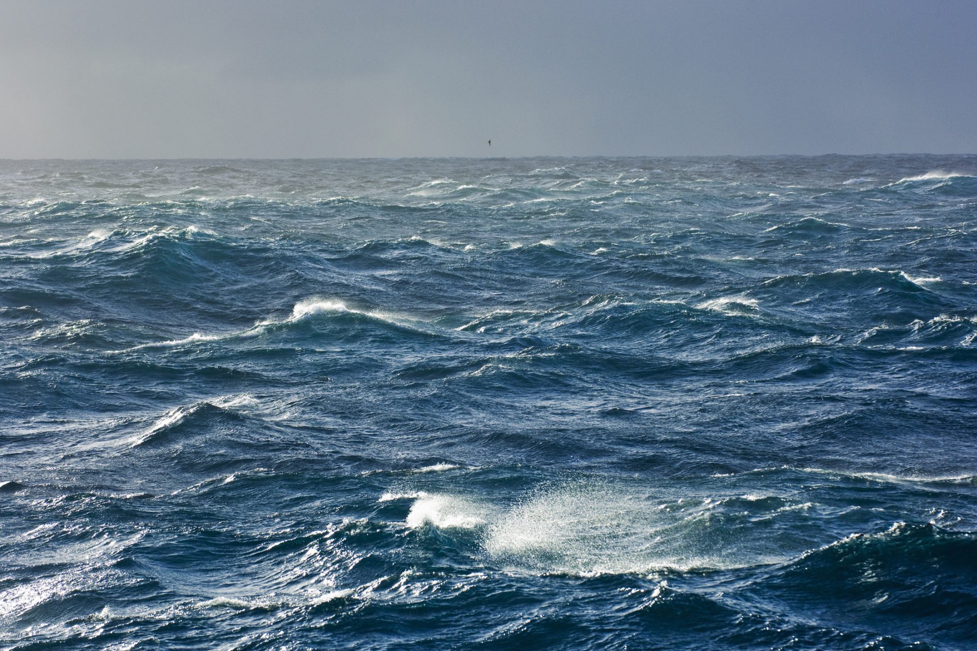 Podría acabar en catástrofe: la corriente atlántica cambia su patrón y amenaza a la Tierra