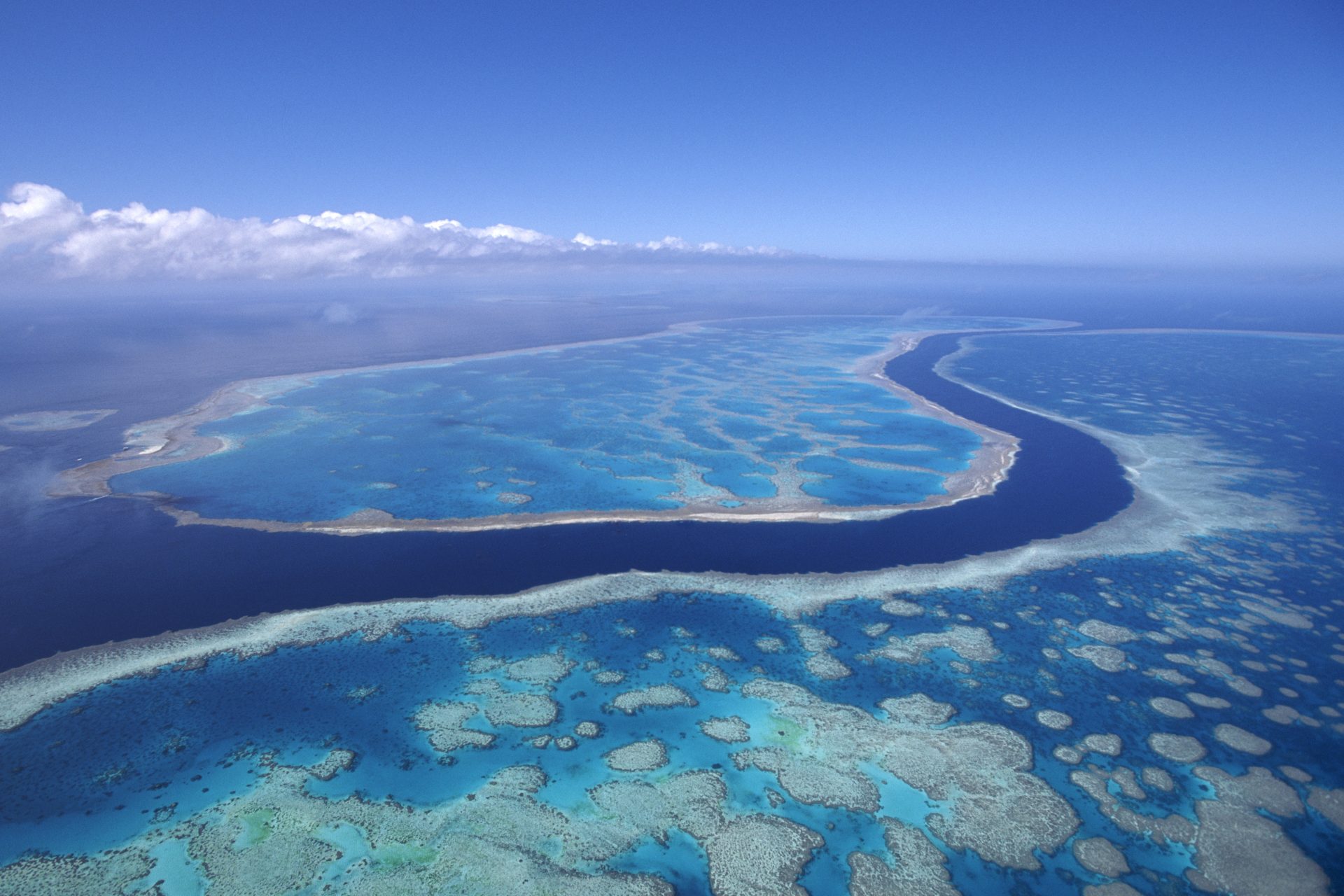 A Grande Barreira de Coral Australiana