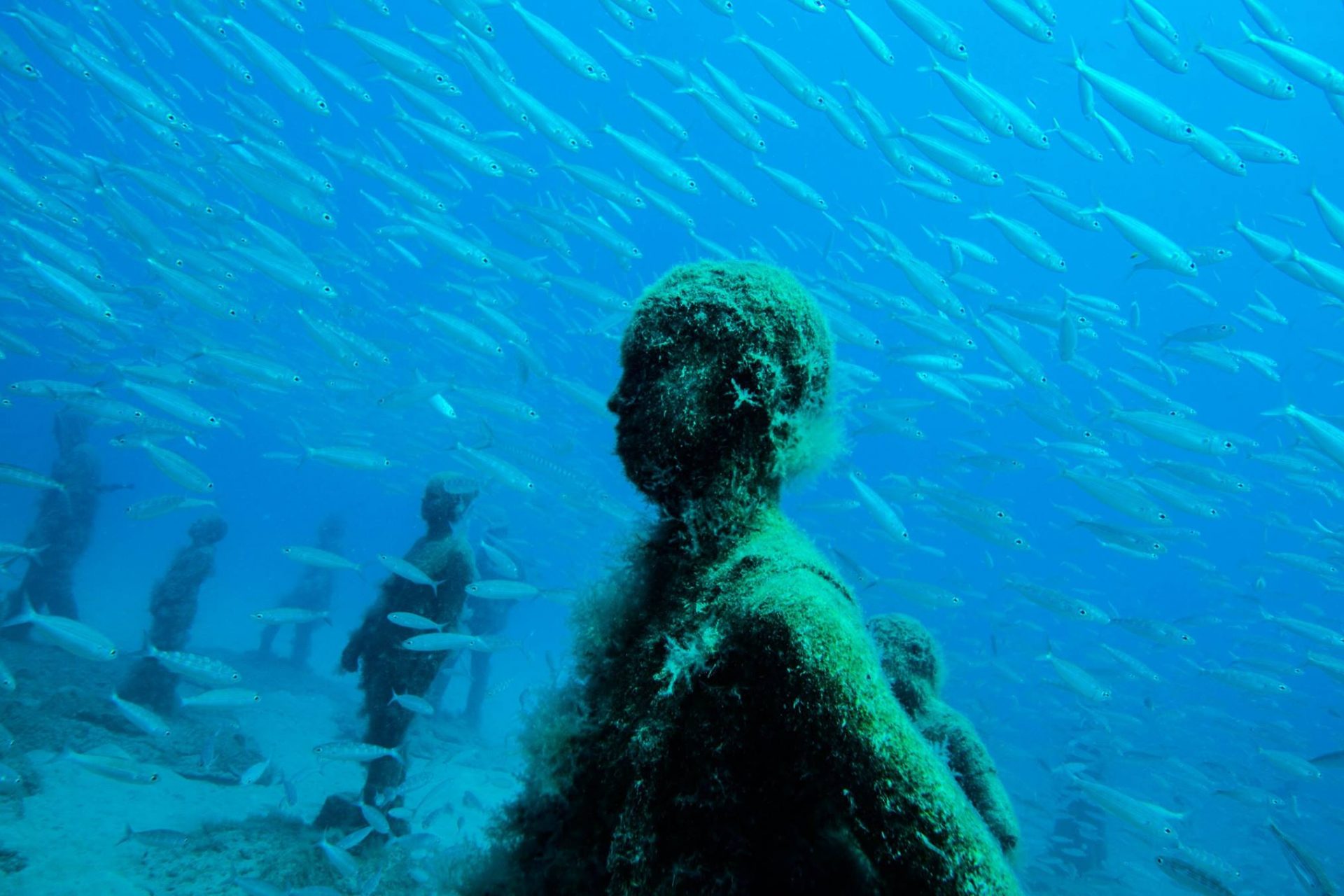 An underwater art haven