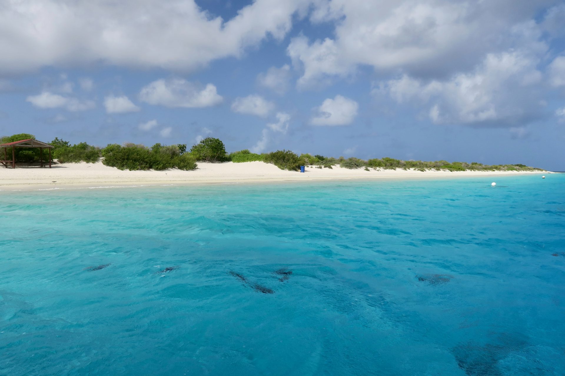 Islas subantárticas, Nueva Zelanda