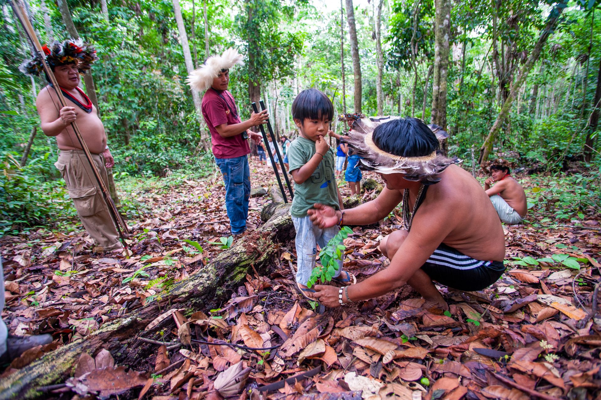 6. アマゾンの森林破壊が5年連続で減少