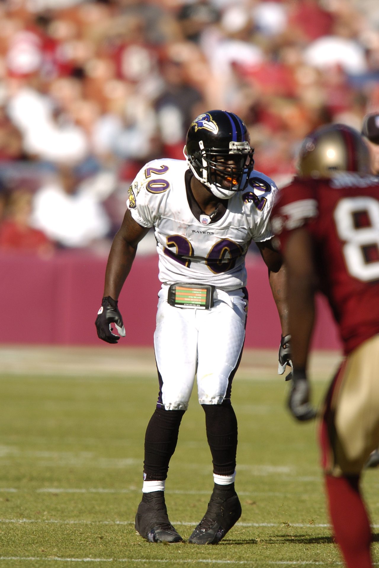 Safety - Ed Reed