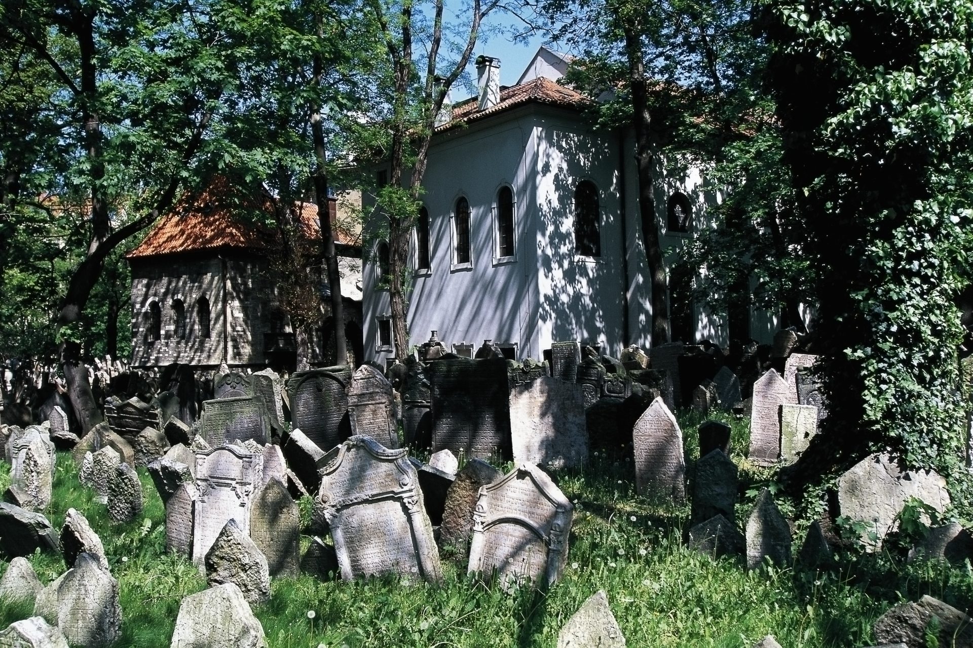 Antiguo Cementerio Judío - Praga (República Checa)