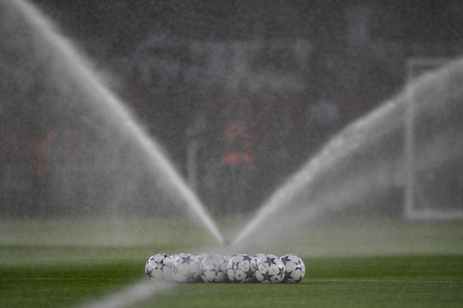 Compensare l'acqua che si usa per irrigare