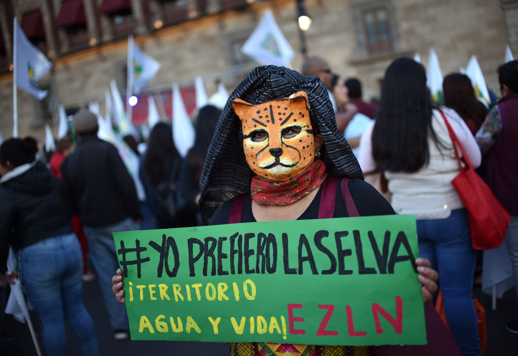 Progreso o ecocidio: lo que esconde el polémico Tren Maya de México