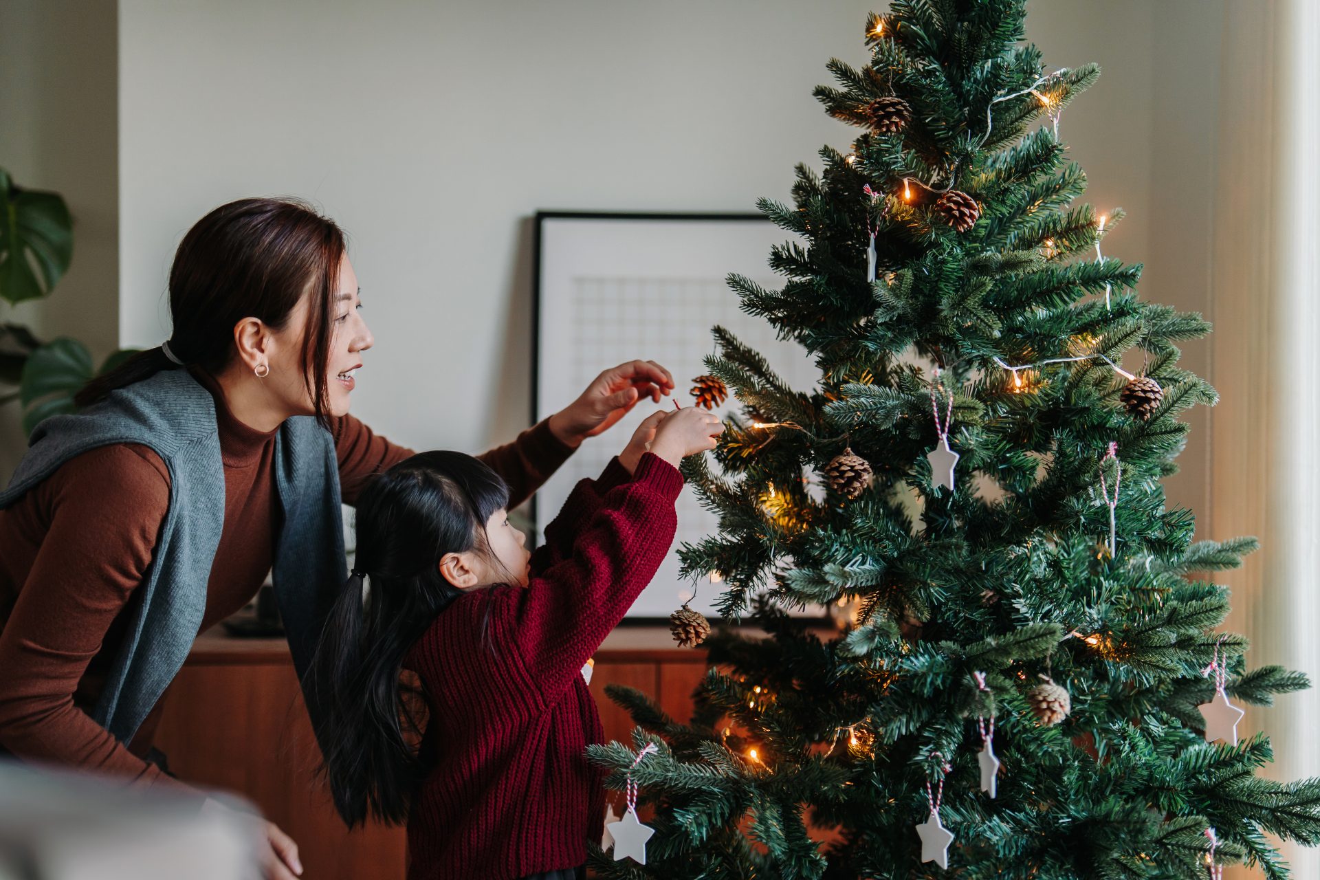 Sapin artificiel ou naturel : quelle est l'option la plus écologique pour Noël ?