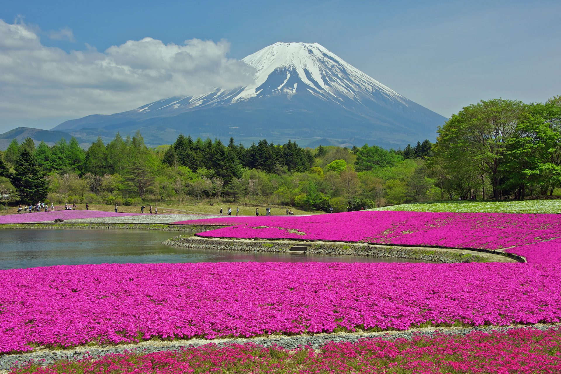 富士本栖湖リゾート