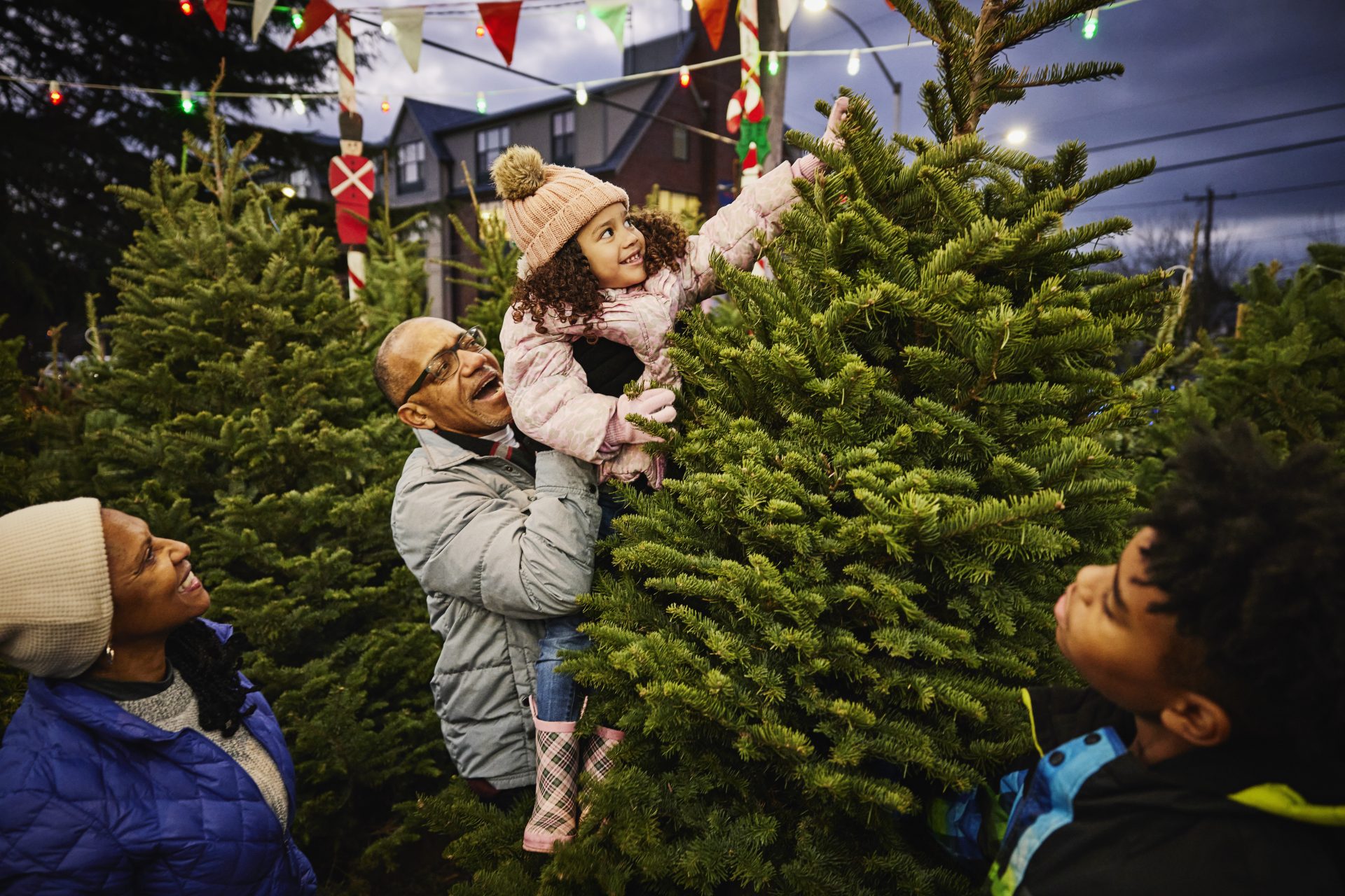 Sapin de Noël naturel