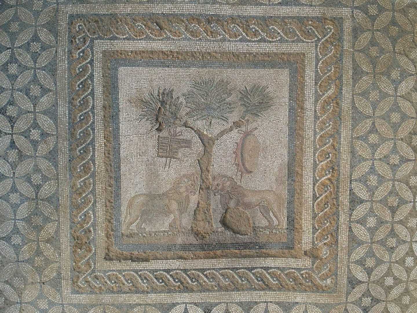 Unearthed at the ancient city of Prusias ad Hypsium