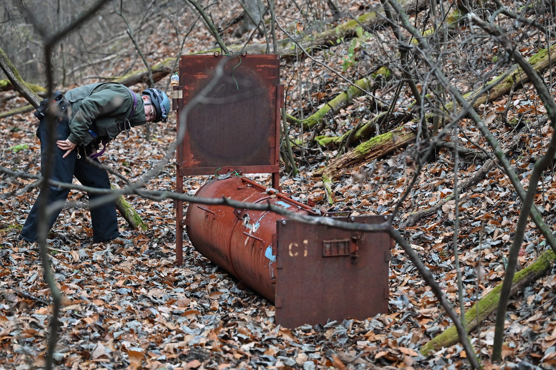 The law about shooting bears to be revised