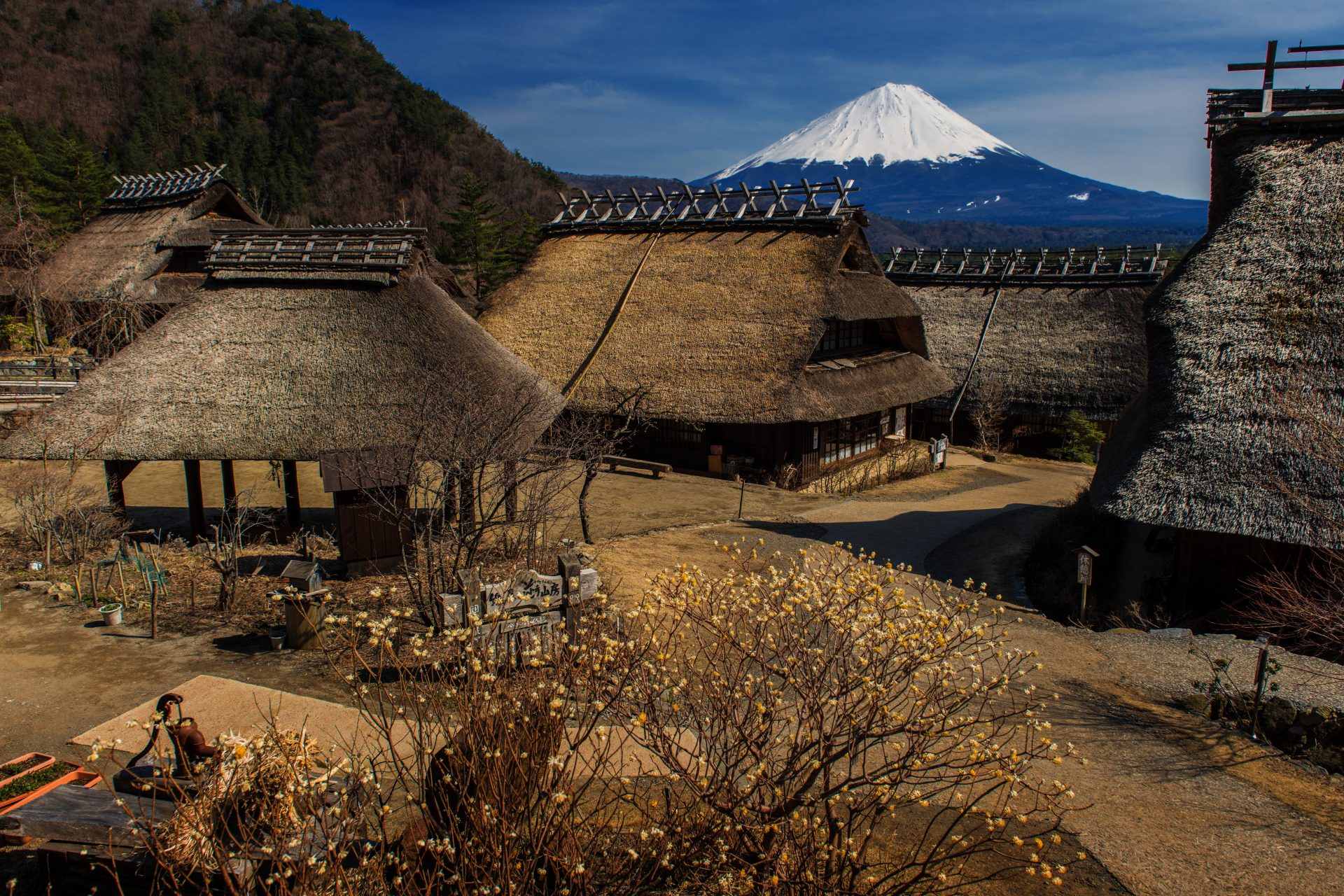 西湖いやしの里根場