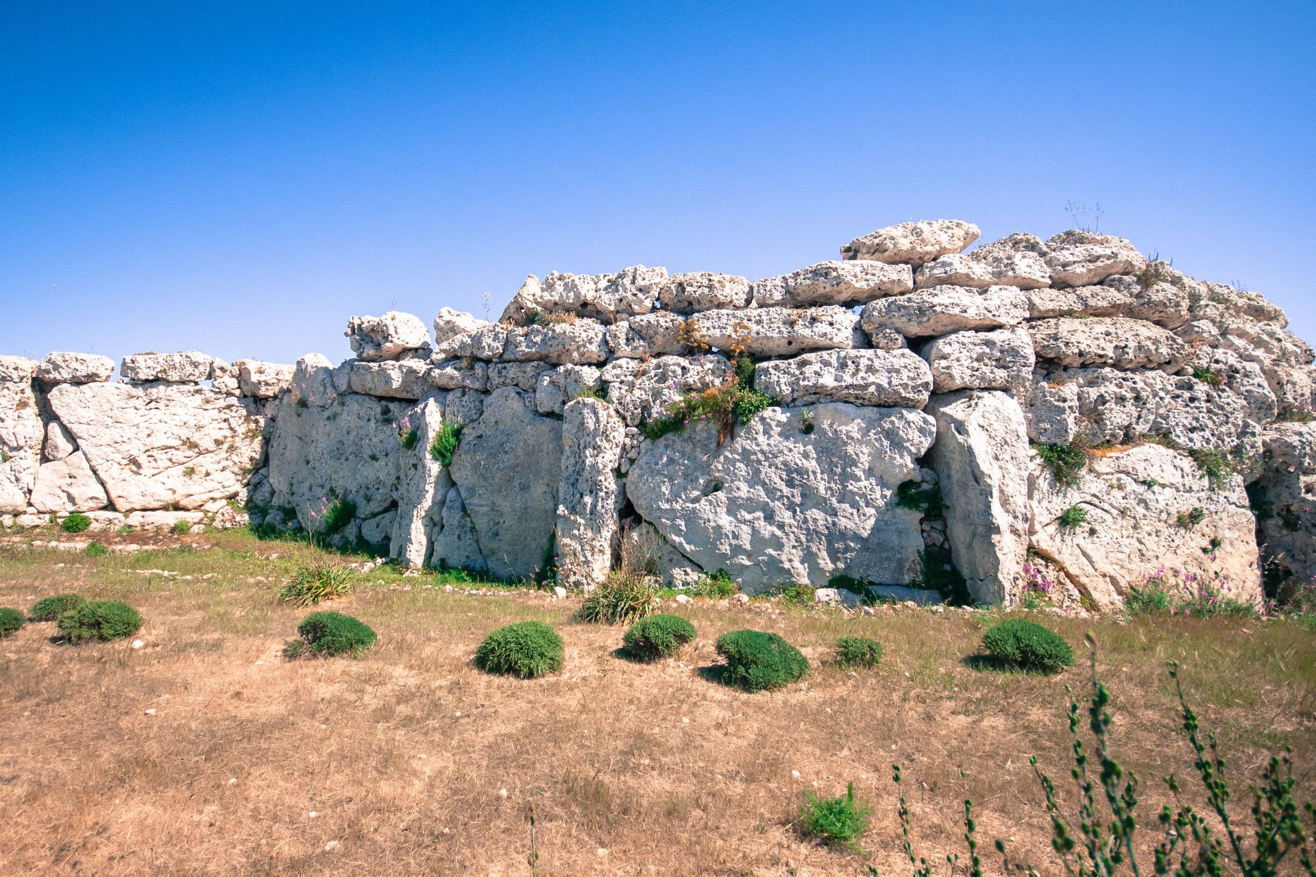 Who worshiped at the temple?